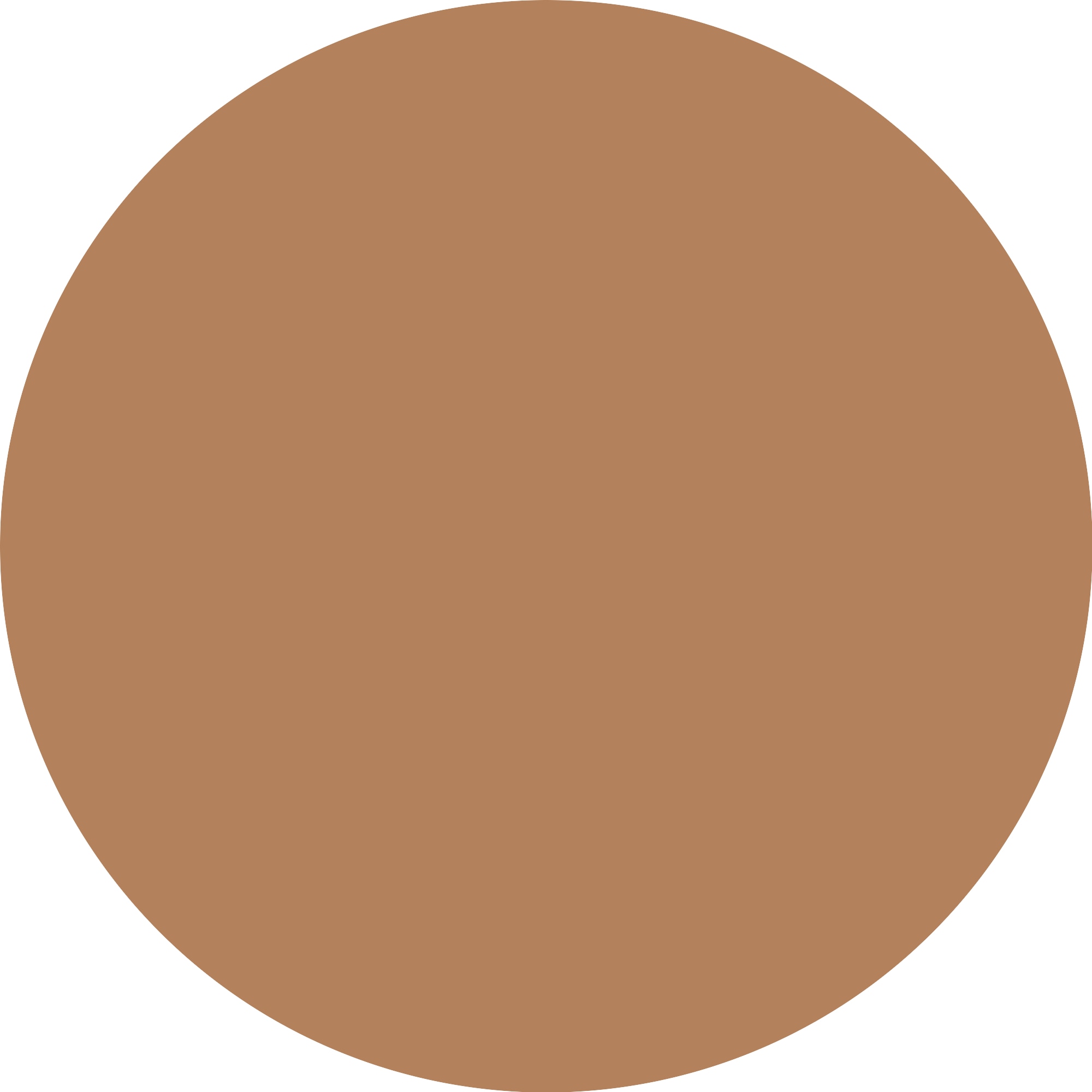 Catrice Foundation »Invisible Cover Cushion Foundation«