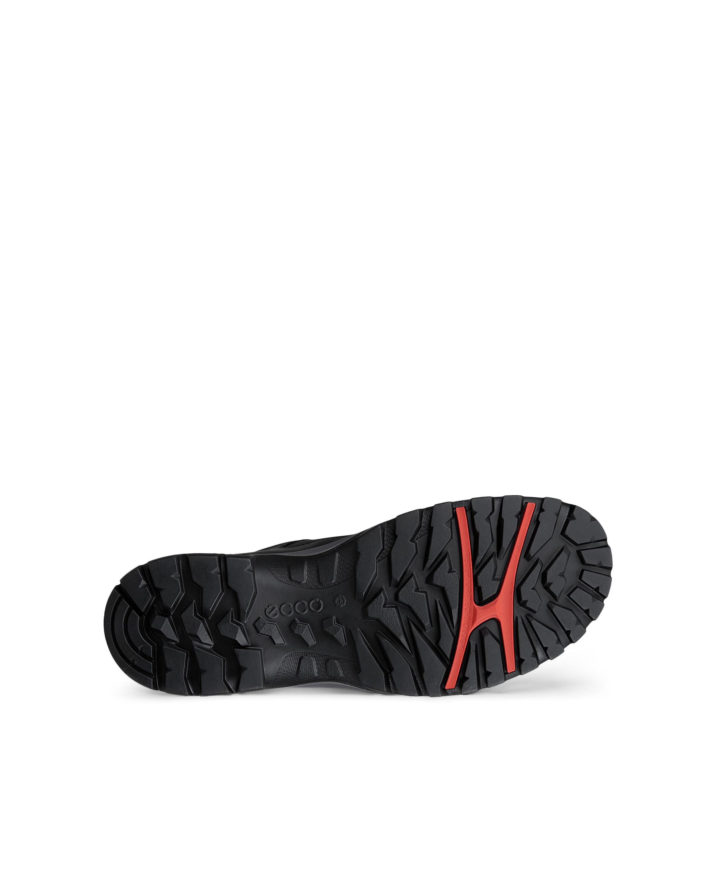 Ecco Outdoorschuh »ECCO RECEPTOR TREKK«  Wanderschuh, Halbschuh, Schnürschuh mit waterproof