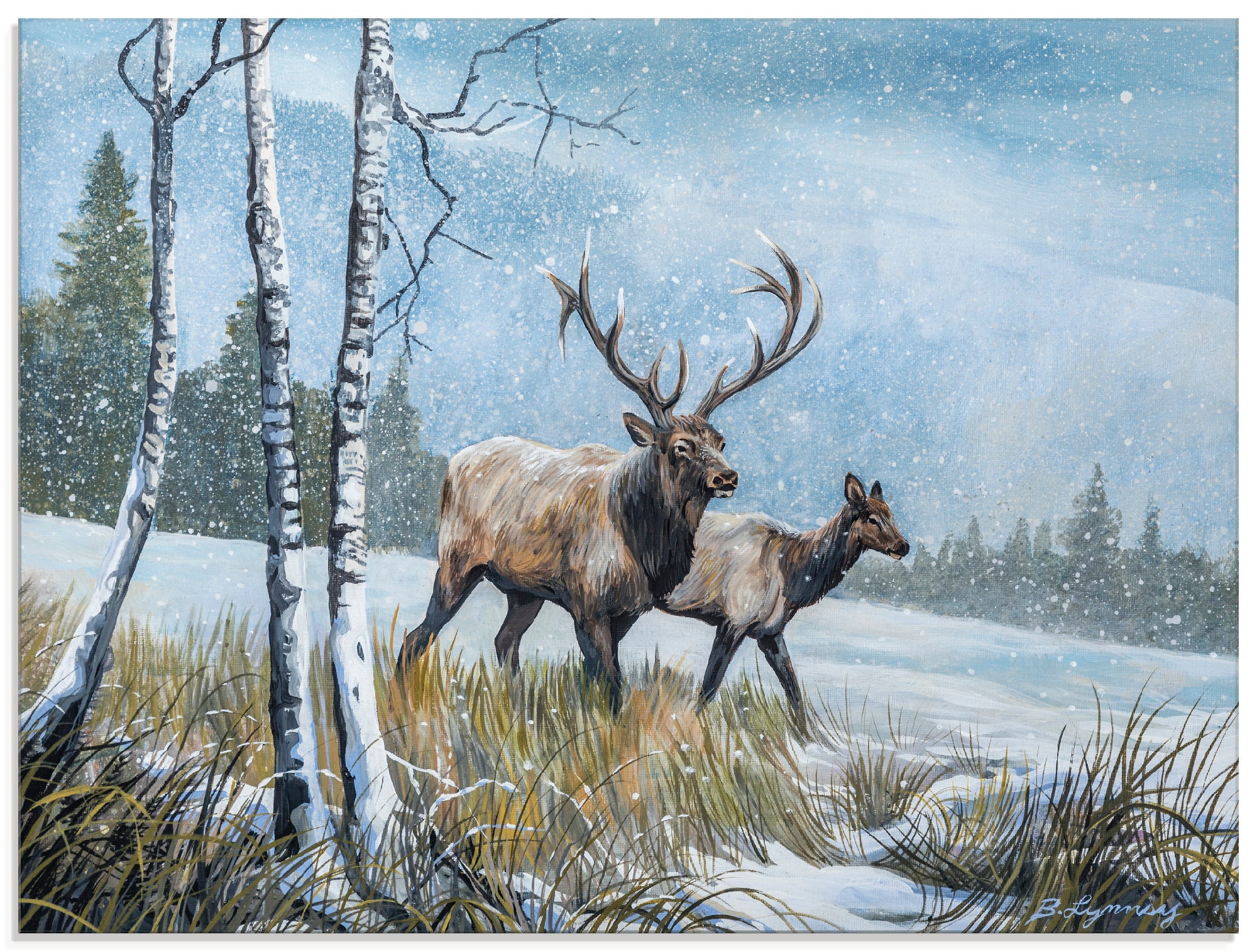 Artland Glasbild »Hirsch Reise IV«, Wildtiere, (1 St.), in verschiedenen Gr günstig online kaufen