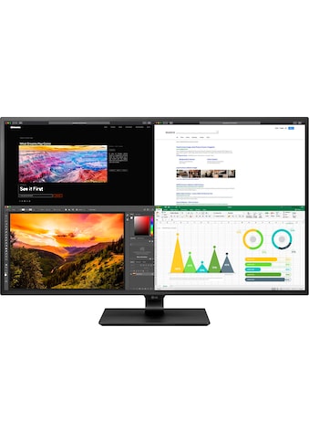 LG LCD-Monitor »43UN700«, 107,98 cm/42,5 Zoll, 3840 x 2160 px, 4K Ultra HD, 8 ms... kaufen