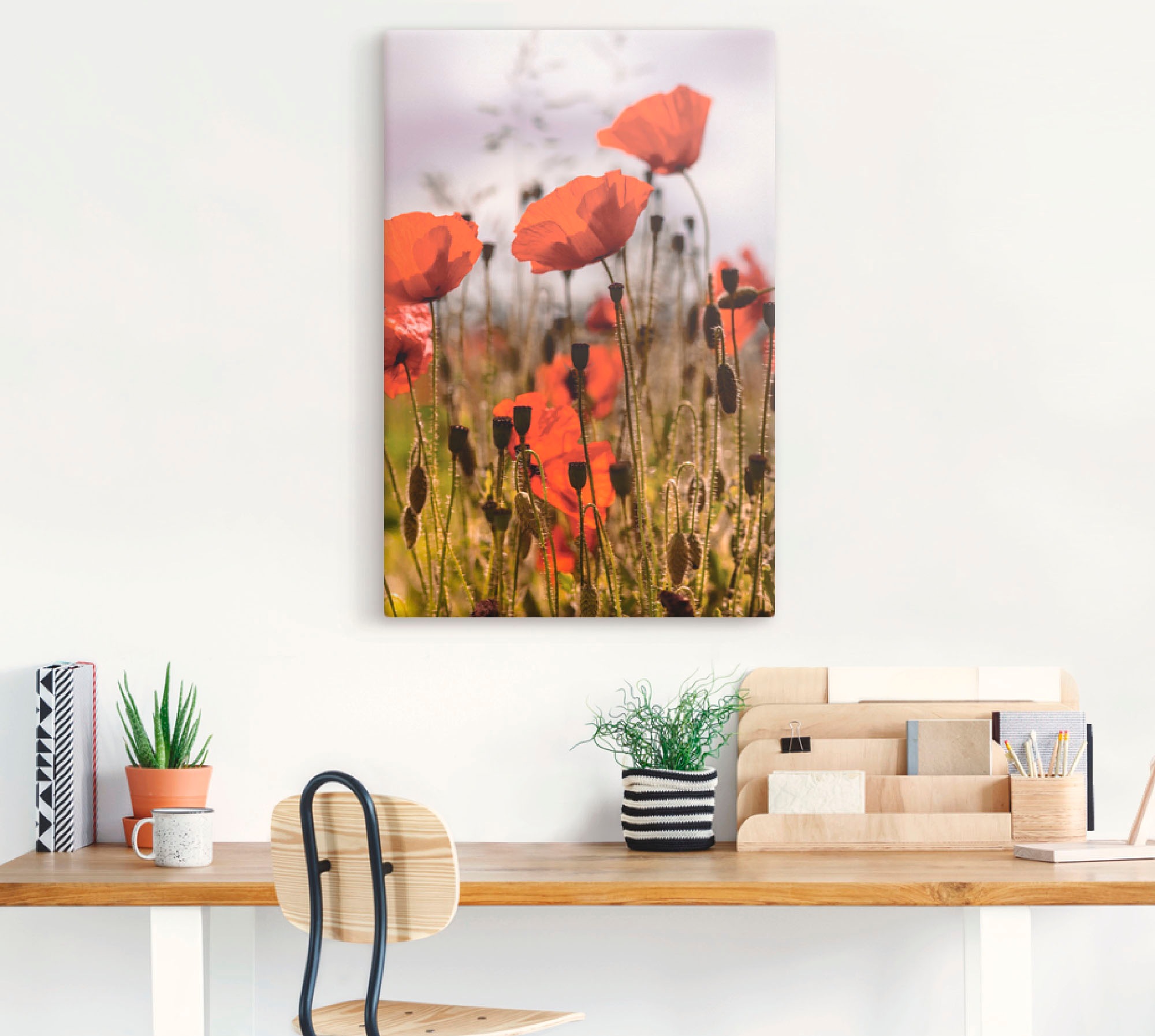 Artland Wandbild »Mohnblumen im Morgenlicht« Blumenwiese 1 Stk. tlg. als Al günstig online kaufen