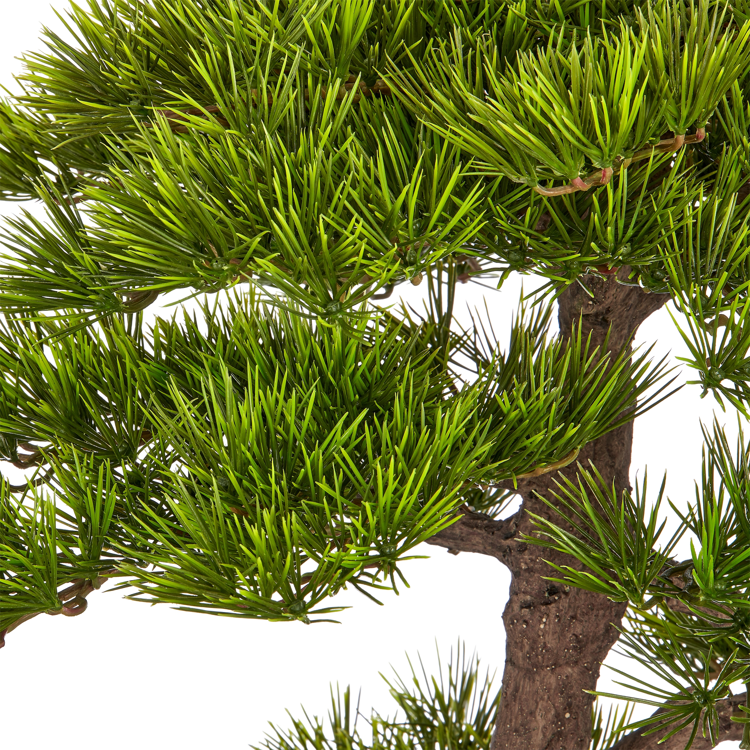 Creativ green Kunstbonsai »Bonsai Pinus sylvestris« in beeindruckender Größe