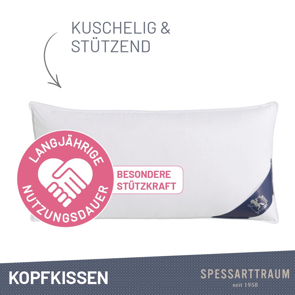 SPESSARTTRAUM Daunenkissen »FIRST CLASS«, Füllung: 60% Daunen, 40%Federn, B günstig online kaufen