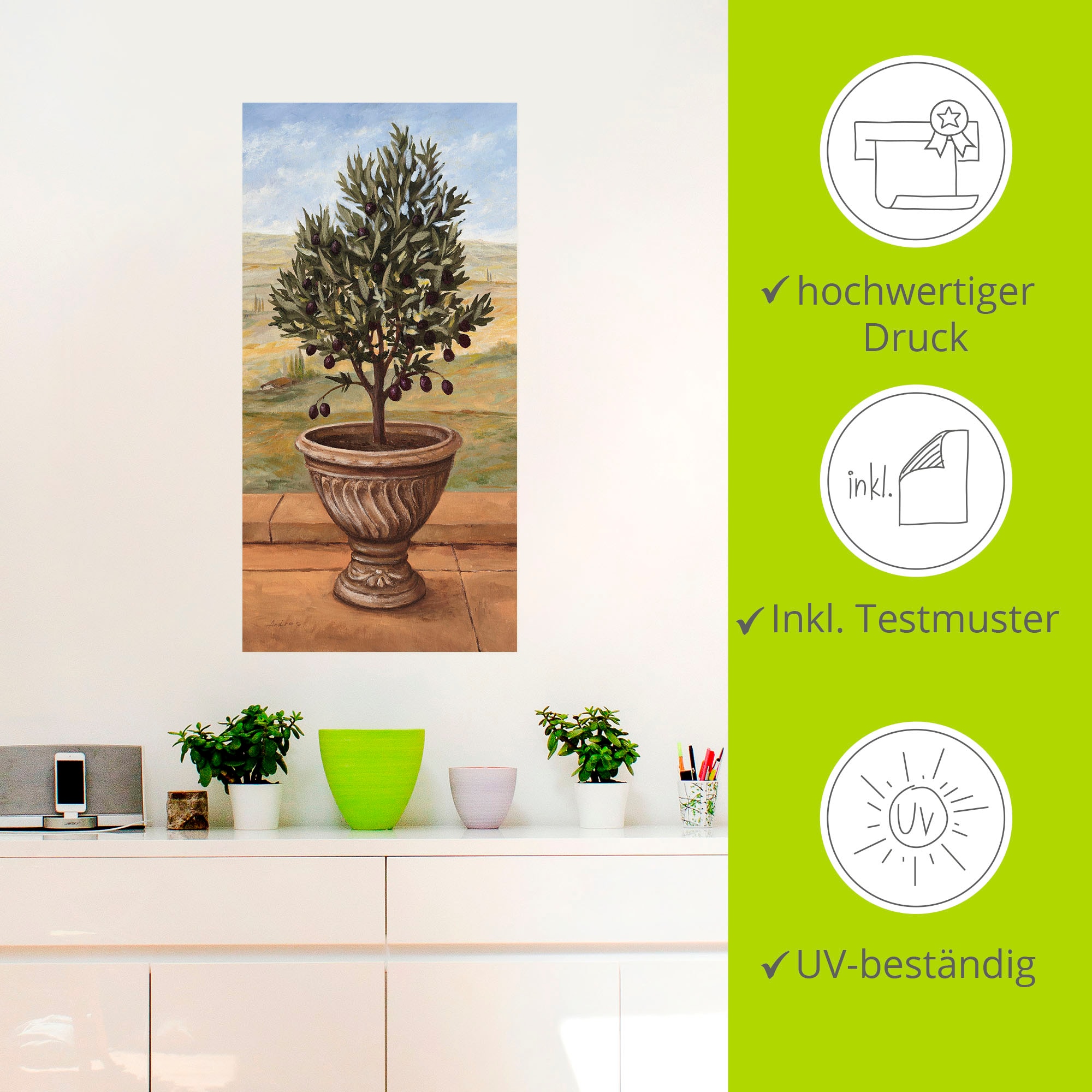 Artland Wandbild »Olivenbaum«, Pflanzen, (1 St.), als Alubild, Outdoorbild, Leinwandbild, Wandaufkleber, versch. Größen