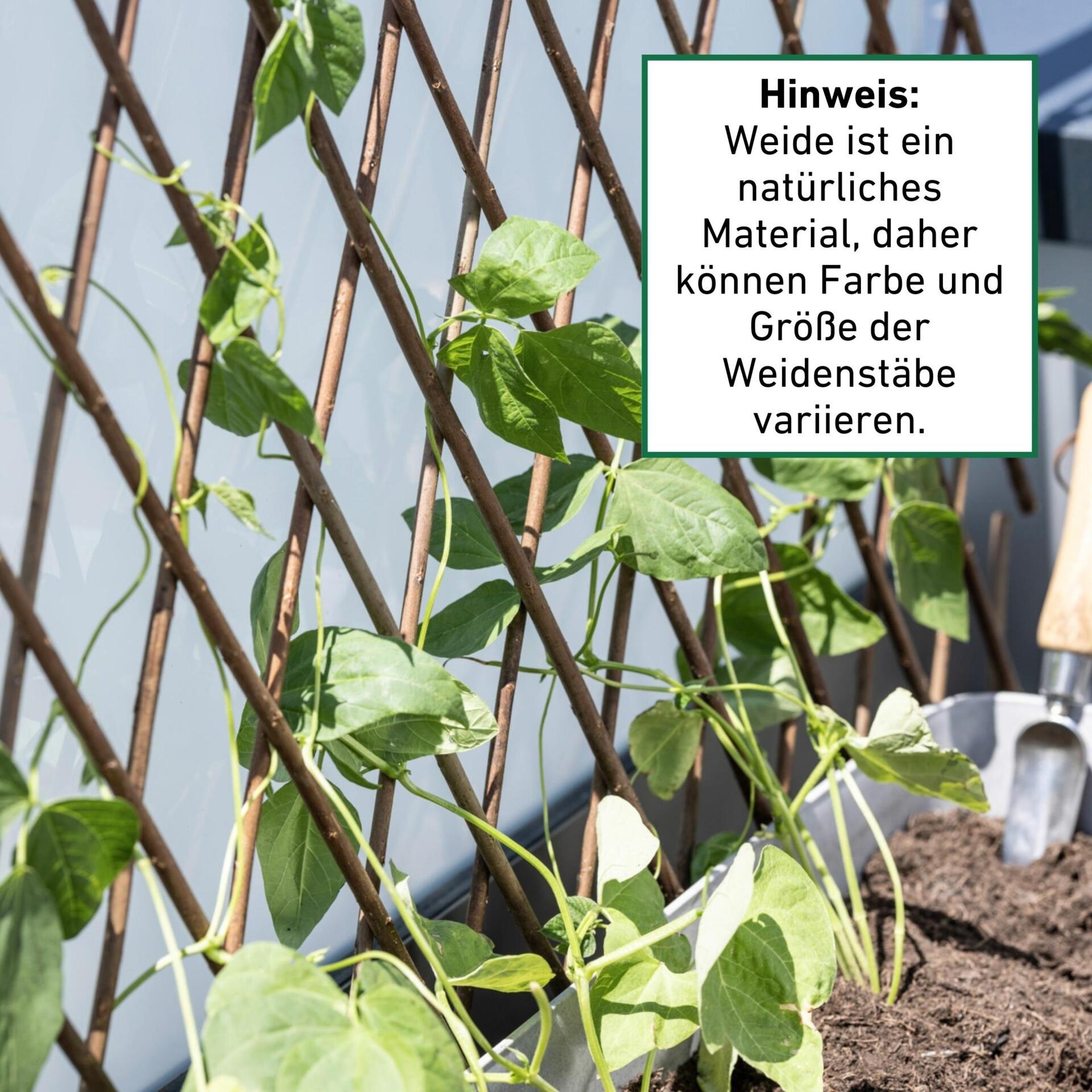 Windhager Rankgitter »Weide-Spalier ideal für Balkon, Terrasse oder Garten ausziehbar« Kletterhilfe für Pflanzen, erhältlich in 60 x 120 cm oder 120 x 180 cm