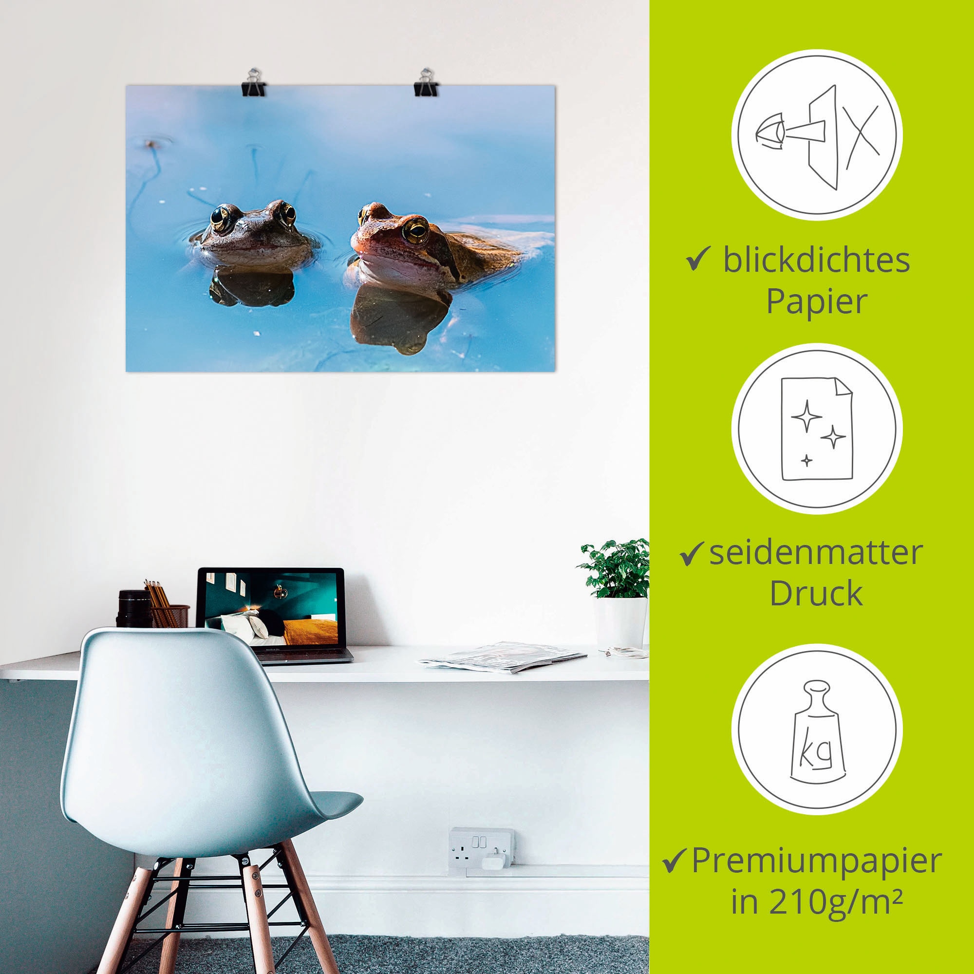 Artland Wandbild »Zwei Froesche«, Frosch, (1 St.), als Alubild, Leinwandbild, Wandaufkleber oder Poster in versch. Größen