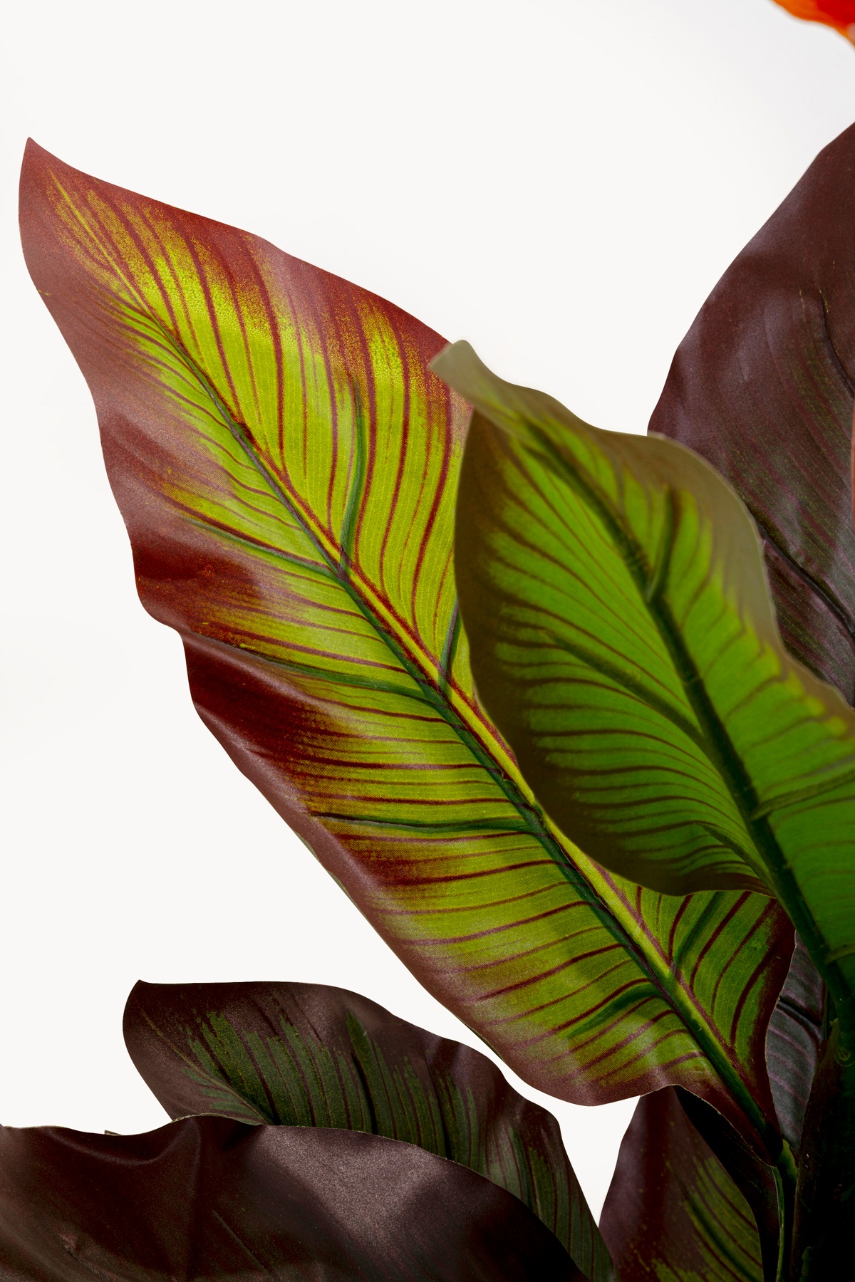 Kare Design Künstliche Zimmerpflanze »Deko-Pflanze Canna Lily« 115 oder 165 cm Höhe