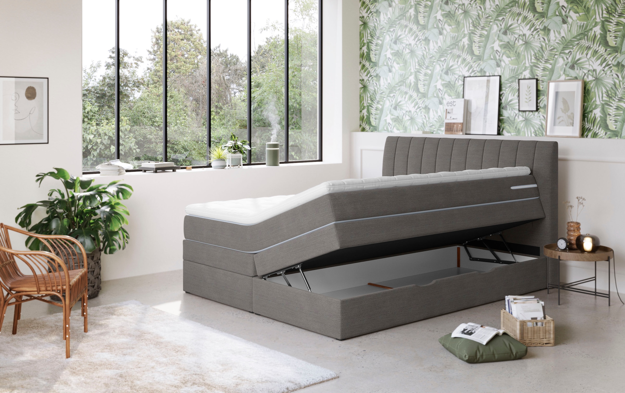 COTTA Boxspringbett »Shark inkl. Bettkasten und Topper«, erhältlich in den Breiten 140x200cm, 160x200cm und 180x200cm