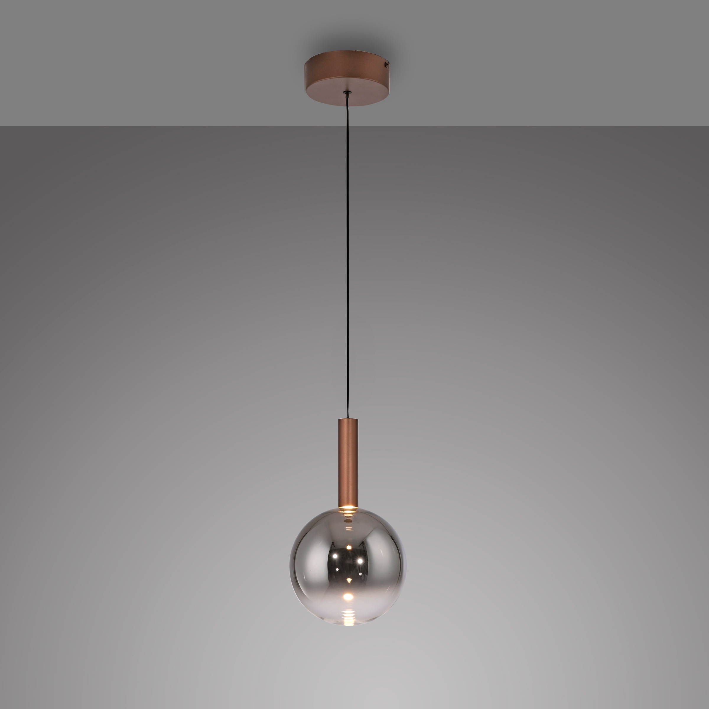 Paul Neuhaus LED Pendelleuchte »BOWL« LED-Board 1 Stk. Warmweiß Dimmbar über Lichtschalter, Memory, Höhenverstellbar, Rauchgläser