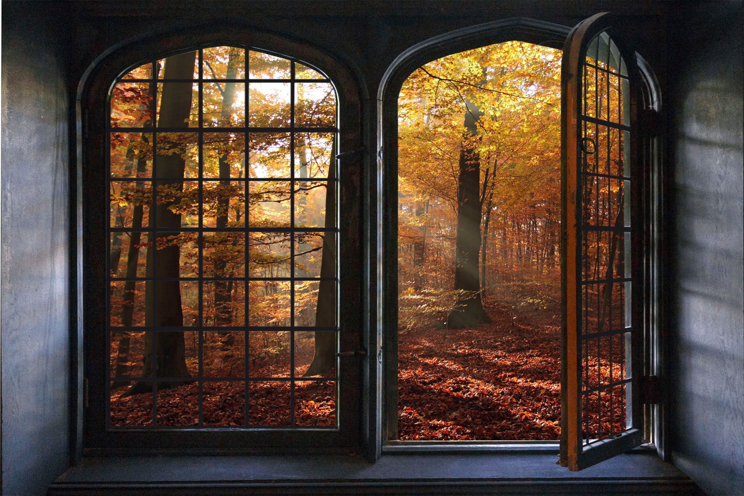 queence Wandsticker »Herbsttag«, Wandsticker, Wandbild, selbstklebend, 3D, Fenster