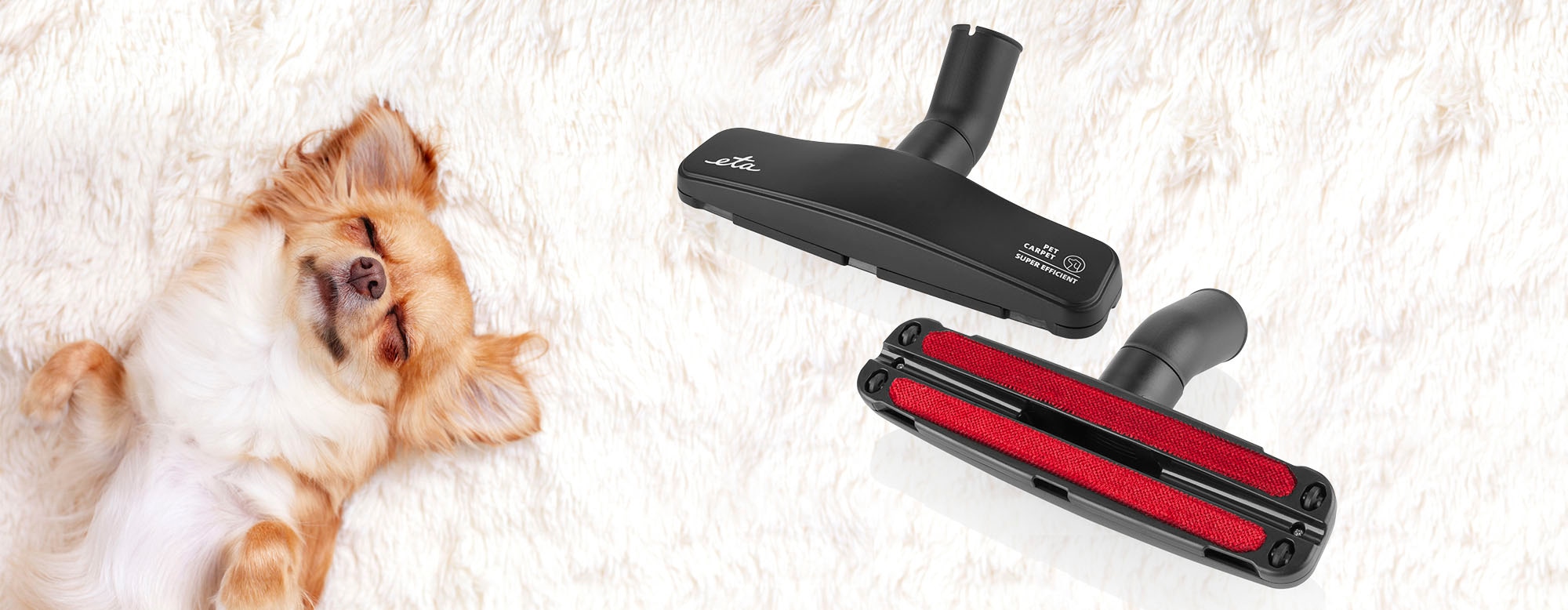 eta Bodenstaubsauger »Salvet Animal«, 700 W, beutellos