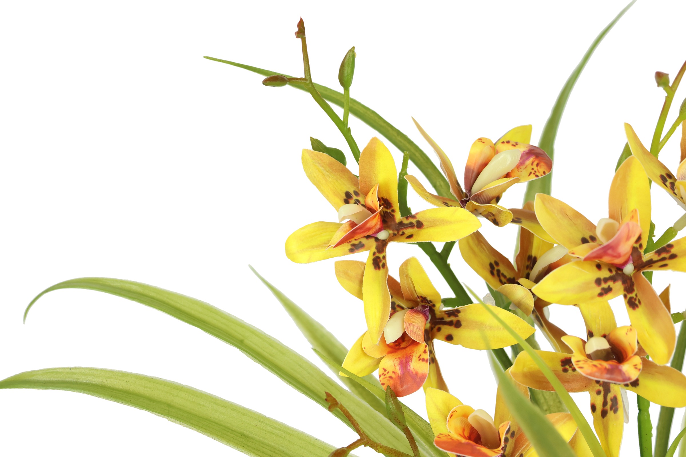 I.GE.A. Kunstblume »Kunstblume Schmetterling Orchidee mit Keramiktopf«, Mit Blätter Luftwurzeln Blume Kunstorchidee Phalaenopsis Kunstpflanze