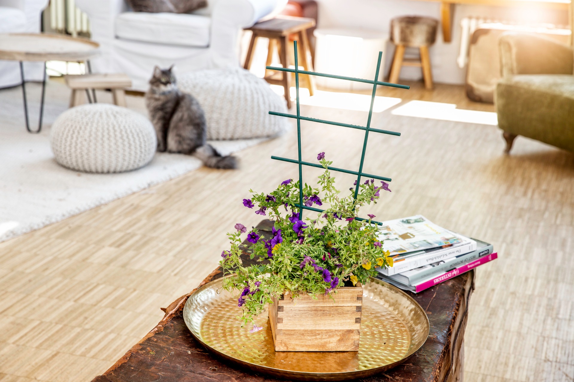 Windhager Rankgitter »für hochwachsende Topfpflanzen, Blumenstütze aus Kunststoff« Gitterspalier erhältlich in 43 x 23 cm oder 57 x 31 cm, grün