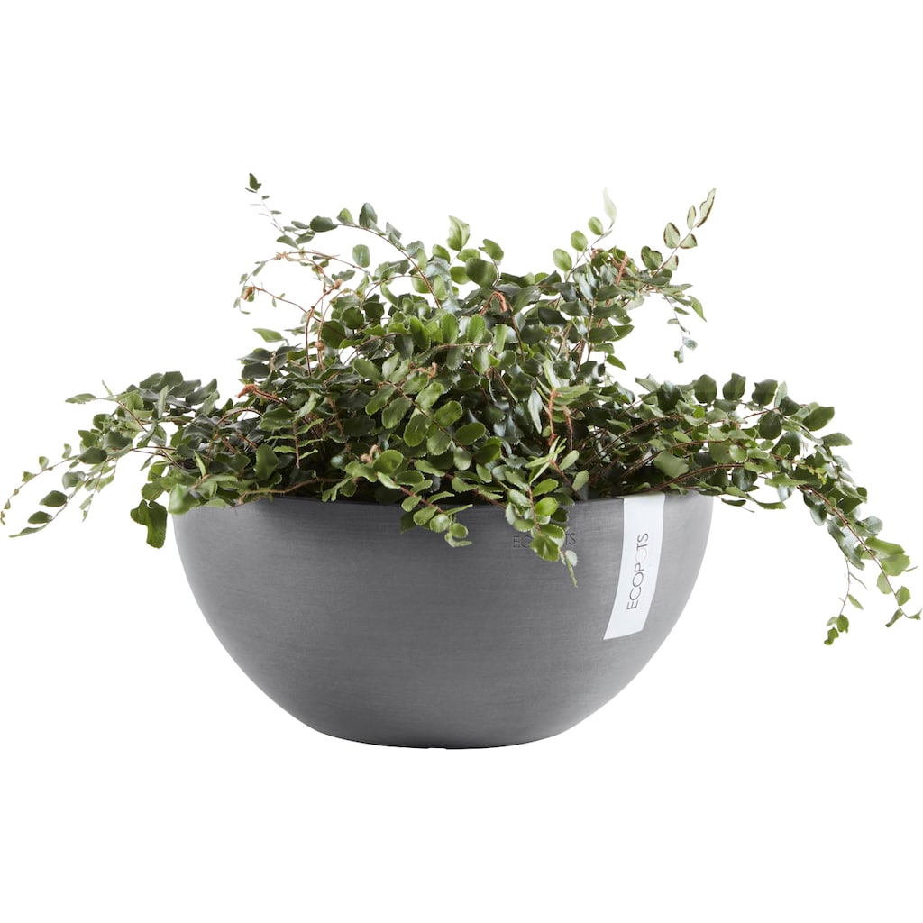 ECOPOTS Blumentopf »BRUSSELS Grey«