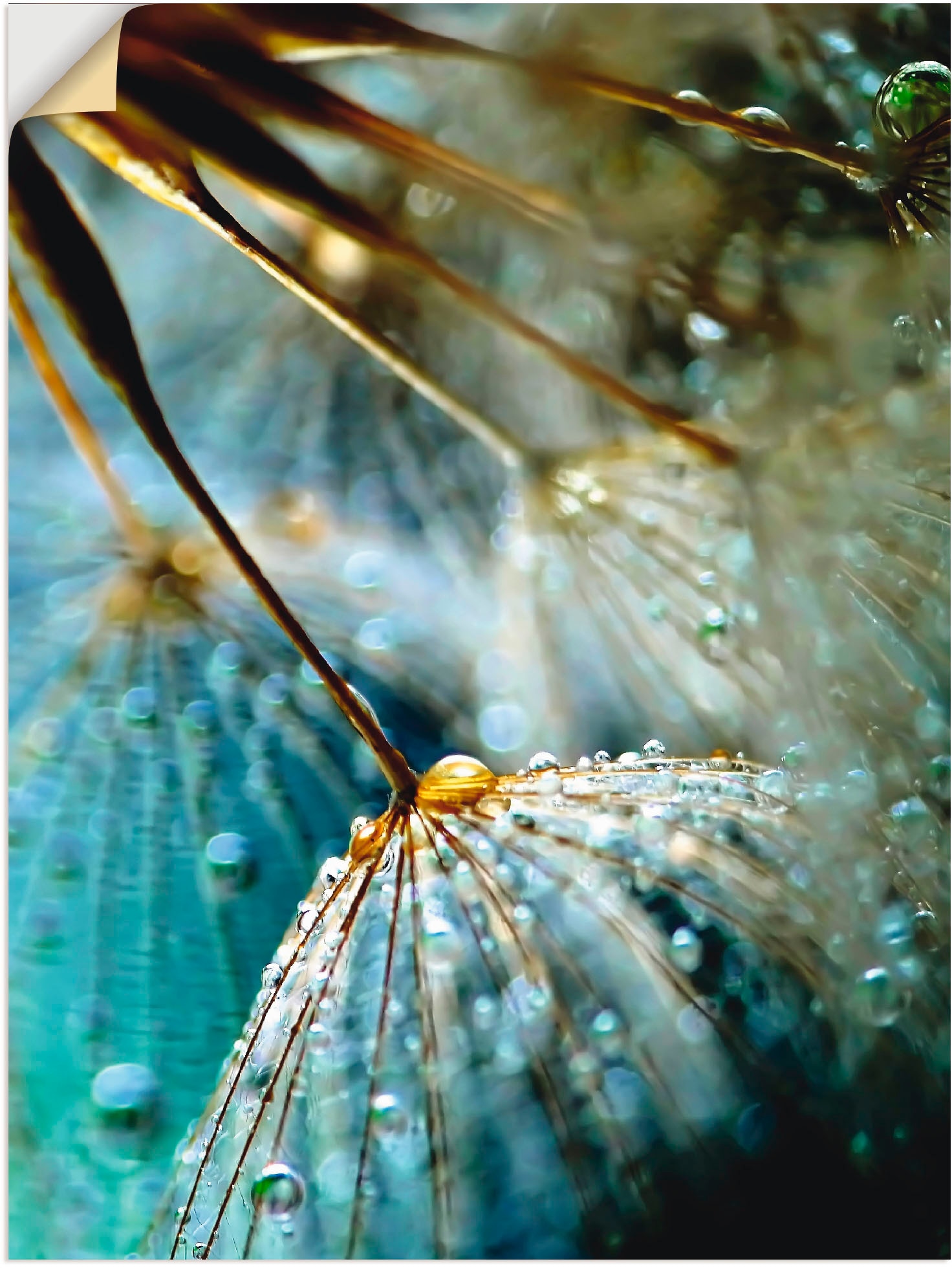 Artland Wandbild "Pusteblume Mystische Schönheit", Blumen, (1 St.), als Alu günstig online kaufen