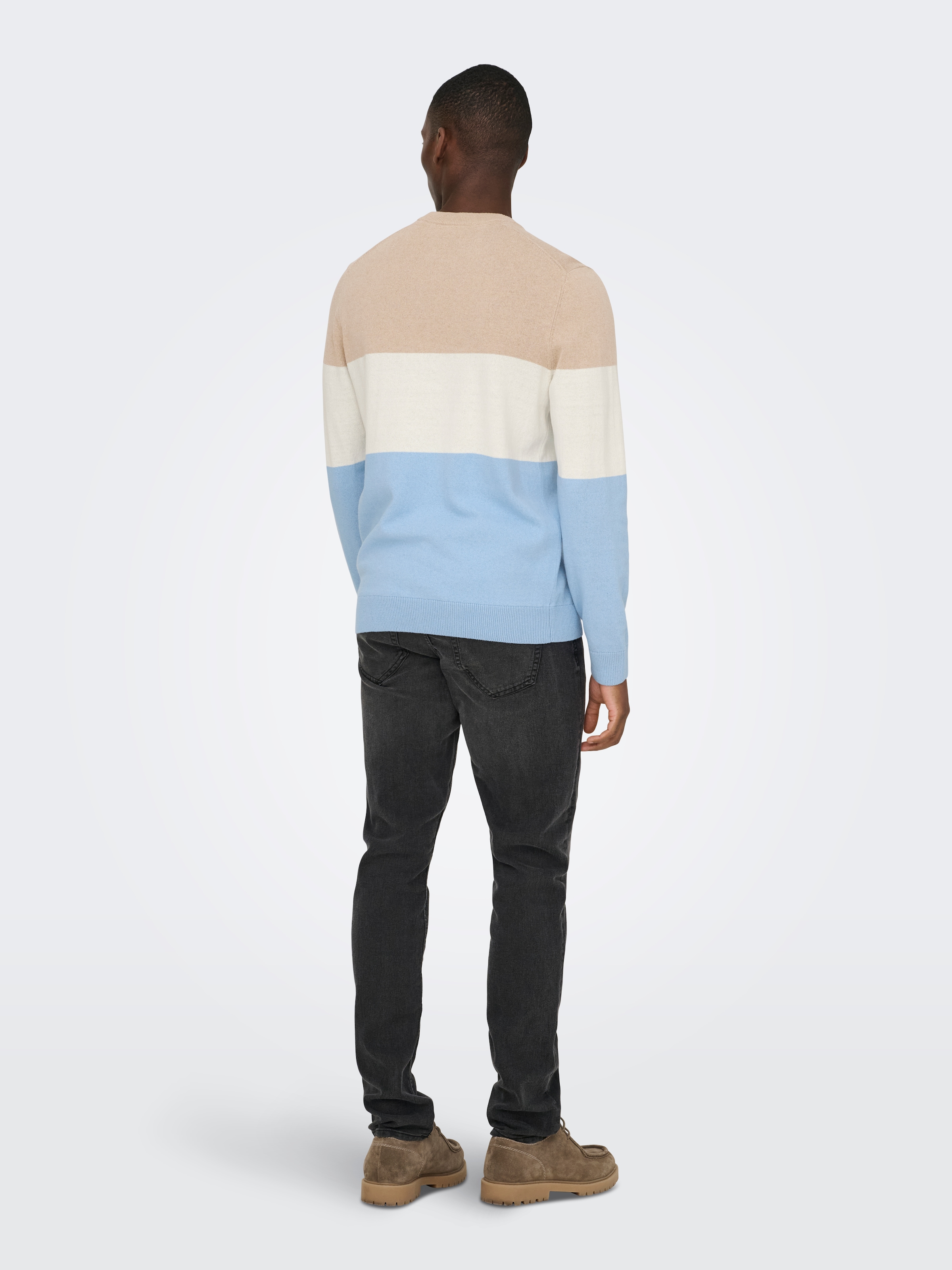 ONLY & SONS Rundhalspullover »ONSREX LIFE REG 12 CREW KNIT«