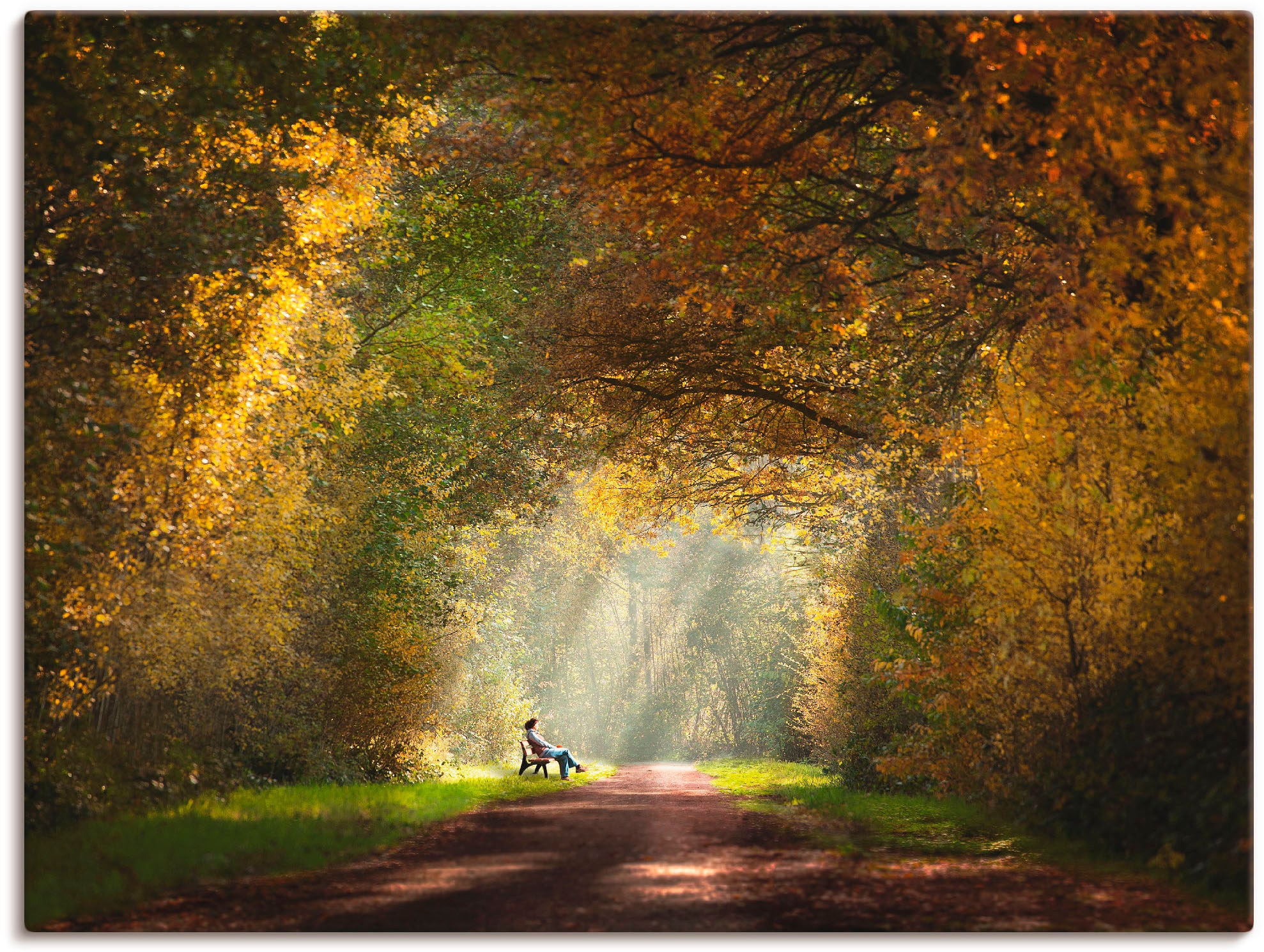 Artland Wandbild "Licht am Ende des Tunnels...", Wald, (1 St.), als Leinwan günstig online kaufen