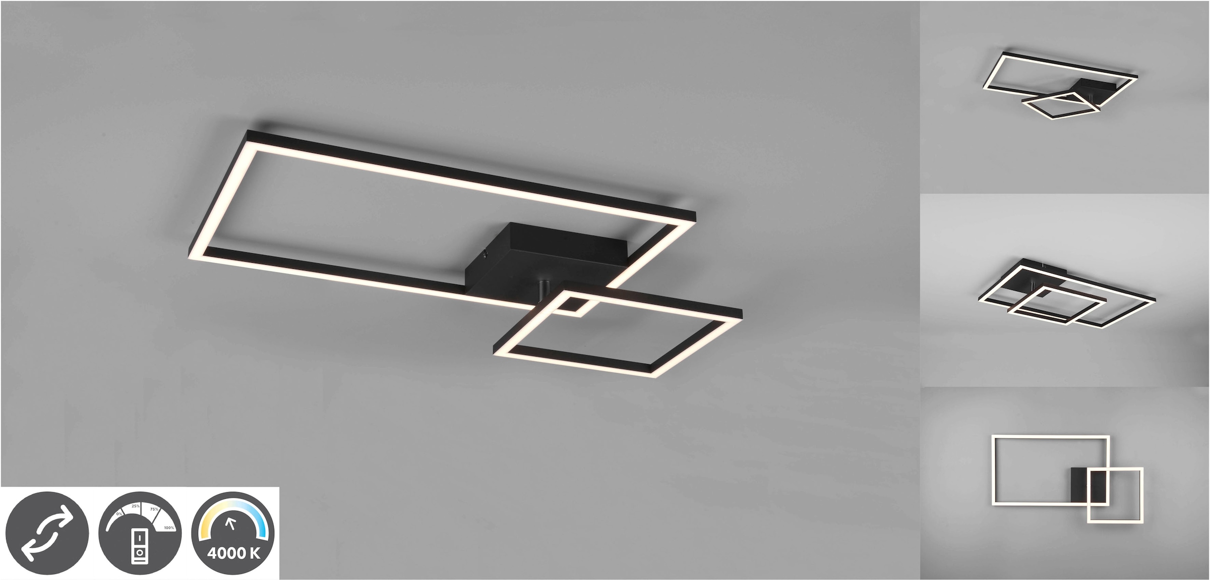 TRIO Leuchten LED 4000K Lumen 3000 bestellen neutralweiß, Deckenleuchte LED 1 online Elemente, bewegliche »Padella«, dimmbar, flammig-flammig