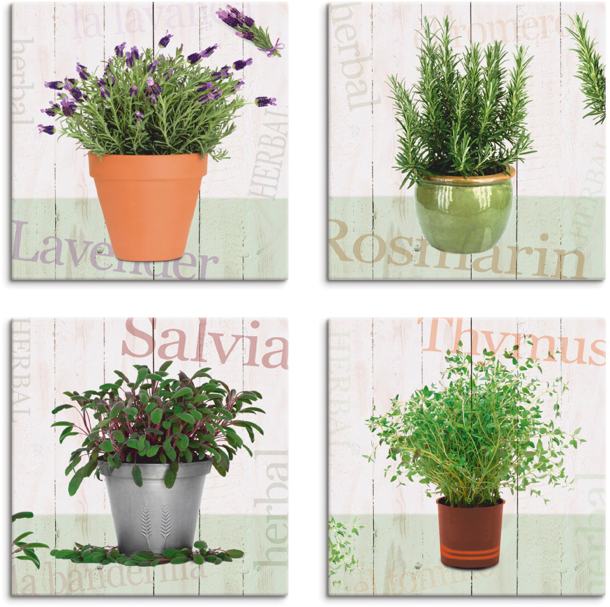 Artland Leinwandbild »Lavendel, Rosmarin, Salbei, Thymian«, Pflanzen, (4 St günstig online kaufen