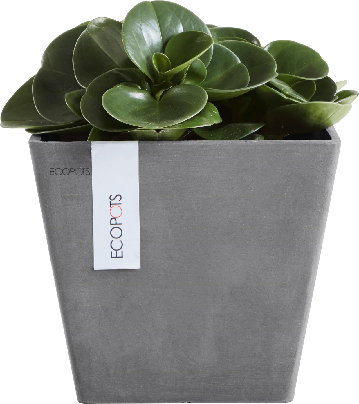 ECOPOTS Blumentopf »ROTTERDAM Grey«, BxTxH: 20x20x17,5 cm