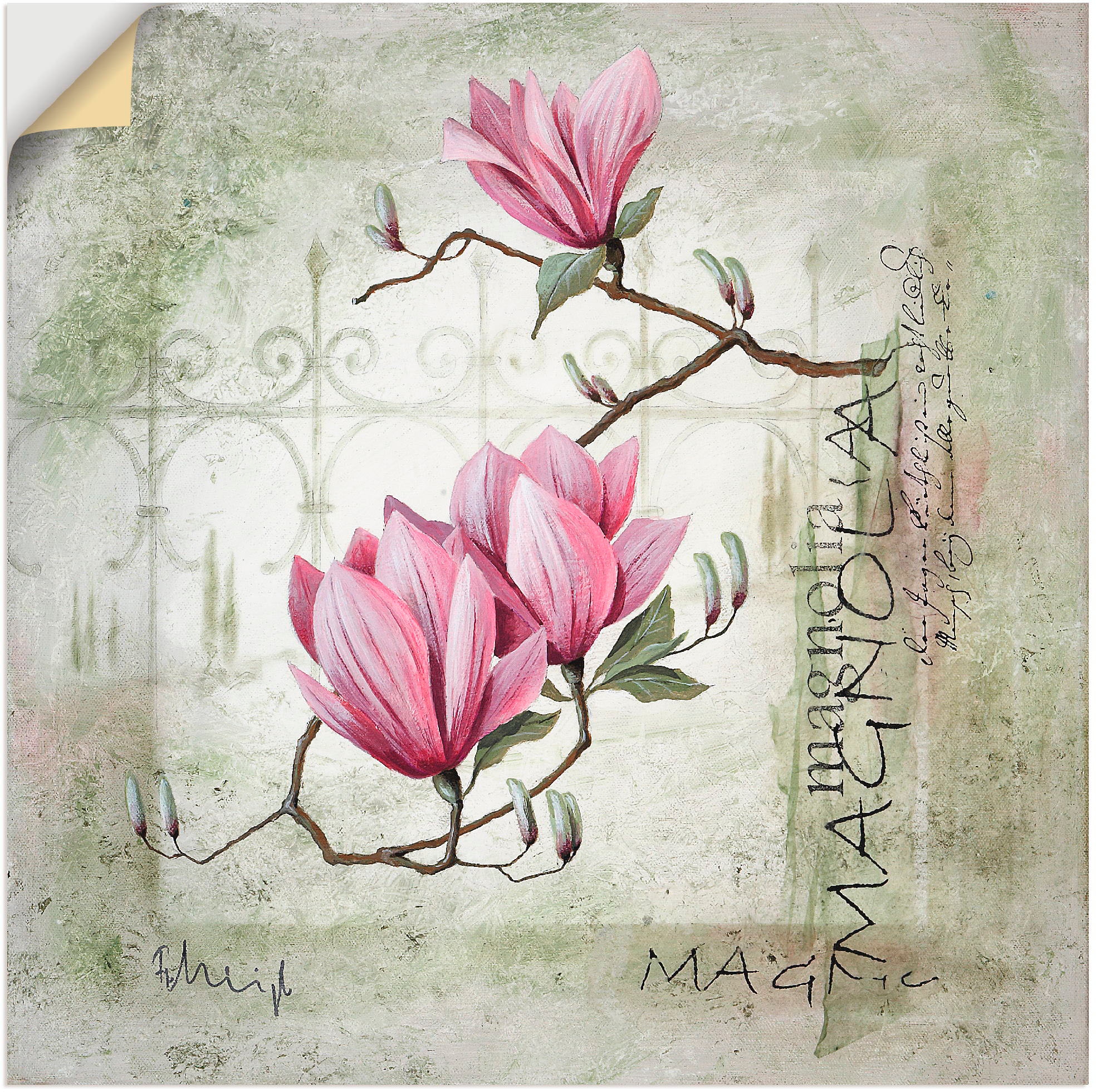 Artland Wandbild »Pinke Magnolie«, Blumen, (1 St.), als Leinwandbild, Poste günstig online kaufen