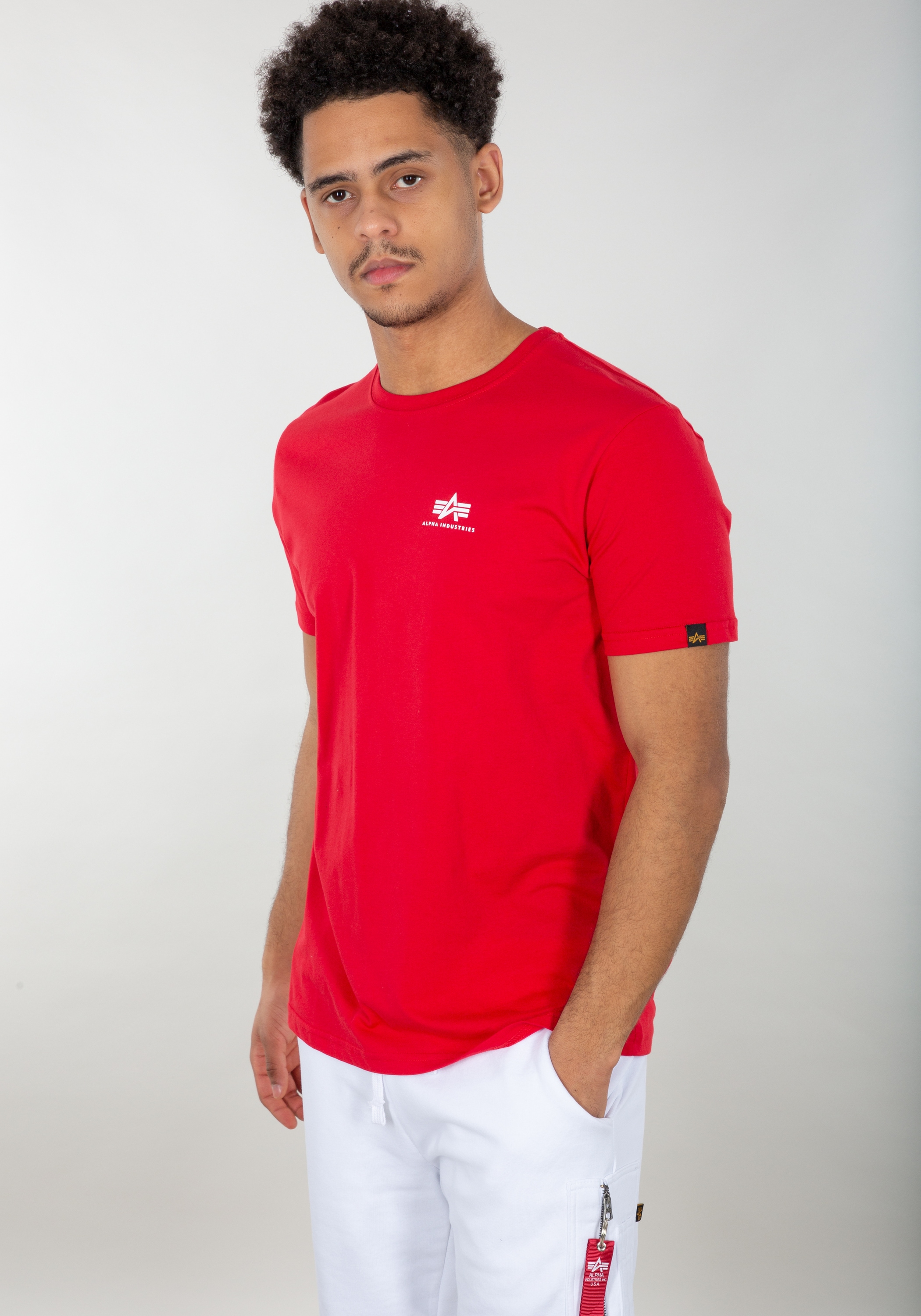 Alpha Industries T-Shirt »Alpha Industries Men - T-Shirts Backprint T«