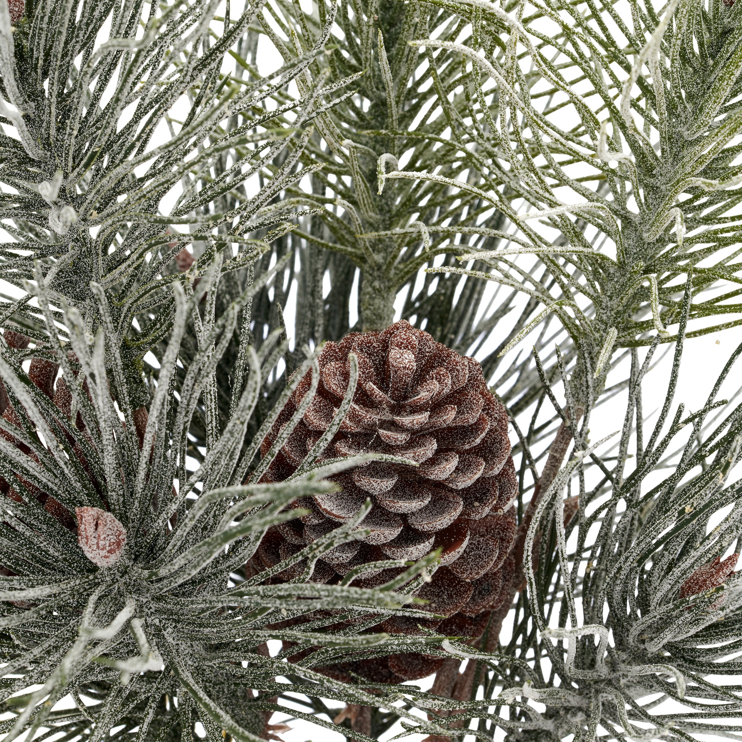 Creativ green Winterliche Kunstpflanze »Kiefernbäumchen« mit Frost-Optik