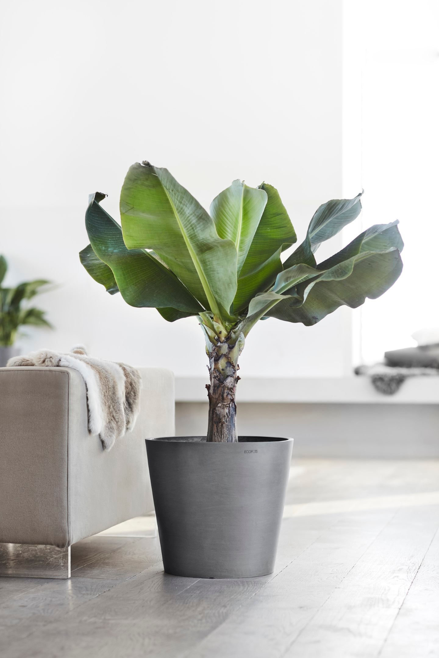 ECOPOTS Blumentopf »AMSTERDAM Grey«, BxTxH: 40x40x35 cm, mit Wasserreservoir