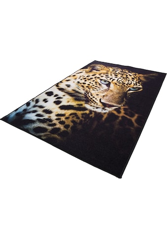 Andiamo Teppich »Leopard«, rechteckig, 4 mm Höhe, bedruckt, Motiv Leopard, ideal im... kaufen