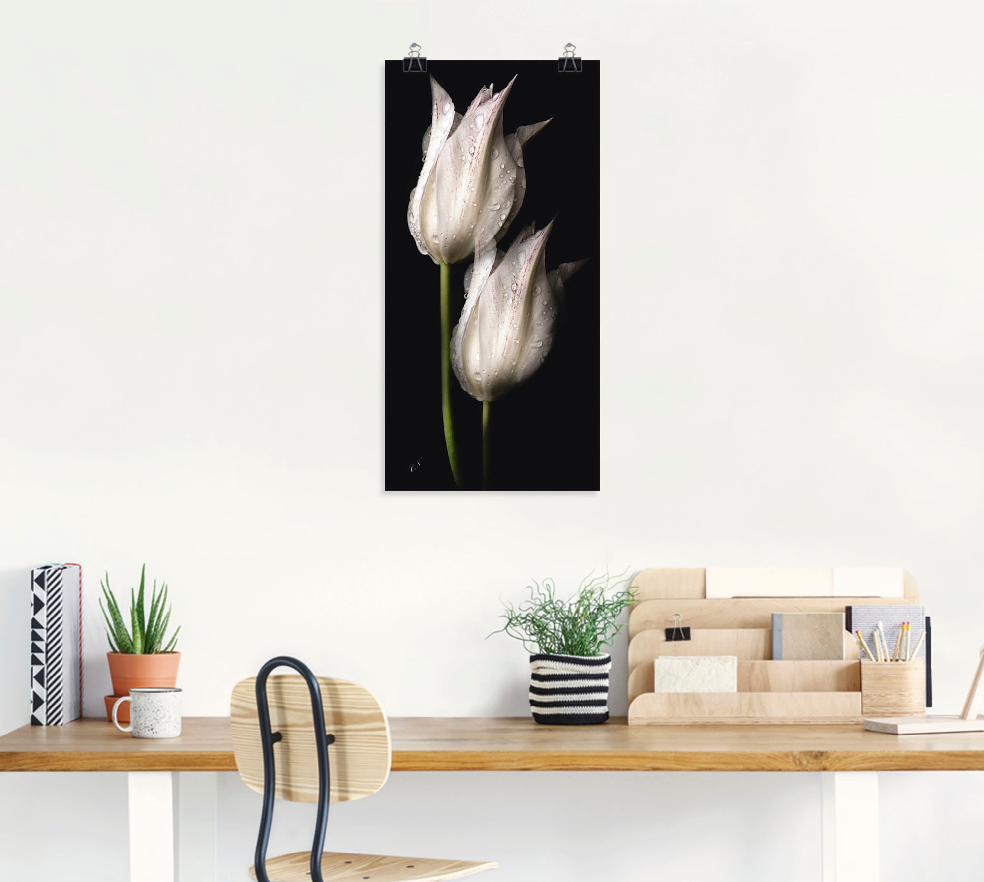 Artland Wandbild »Weiße Tulpen in der Nacht«, Blumenbilder, (1 St.), als Alubild, Outdoorbild, Leinwandbild, Poster, Wandaufkleber