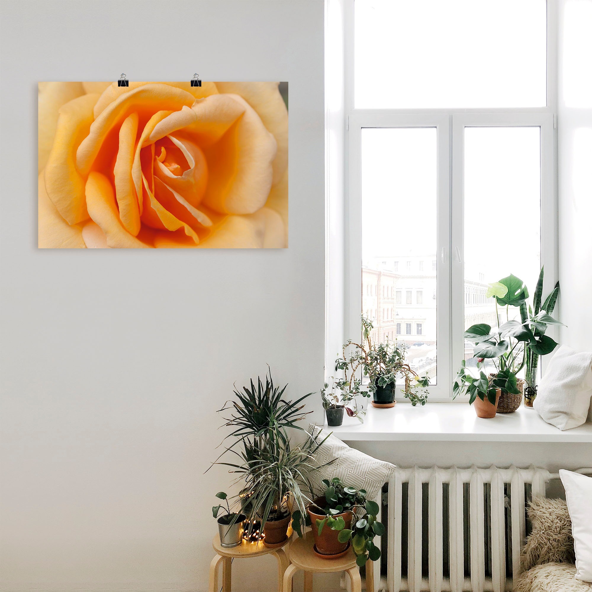 Artland Wandbild »Zarte Rose in Orange«, Blumenbilder, (1 St.), als Leinwandbild, Poster in verschied. Größen