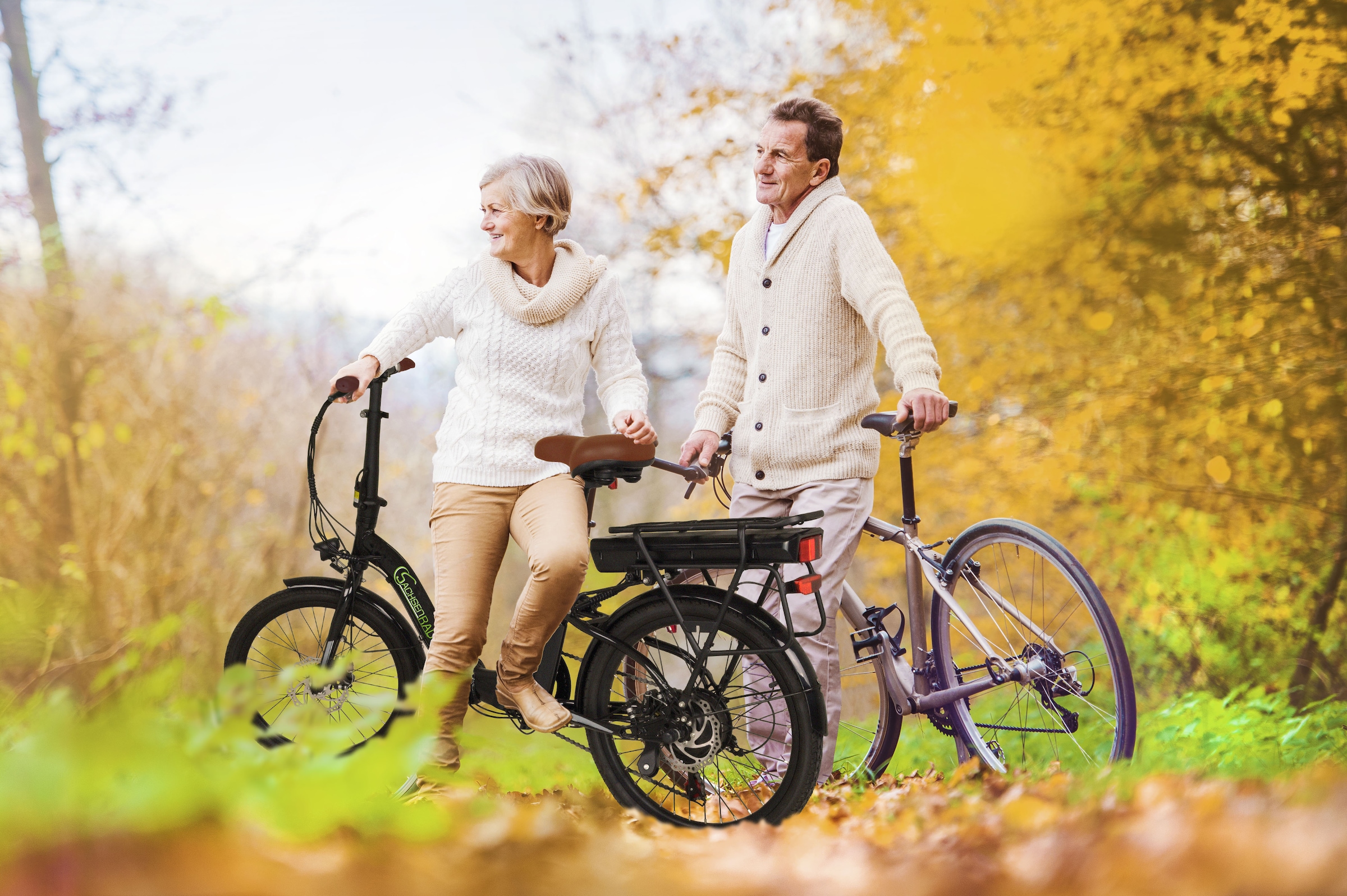 SachsenRad E-Bike »F2«, 7 Gang, Shimano, Shimano SIS 7-Gang-Schaltung, LCD-Steuerdisplay, Fahrmodus Pedelec, 
LED-Frontlicht, LED-Rücklicht