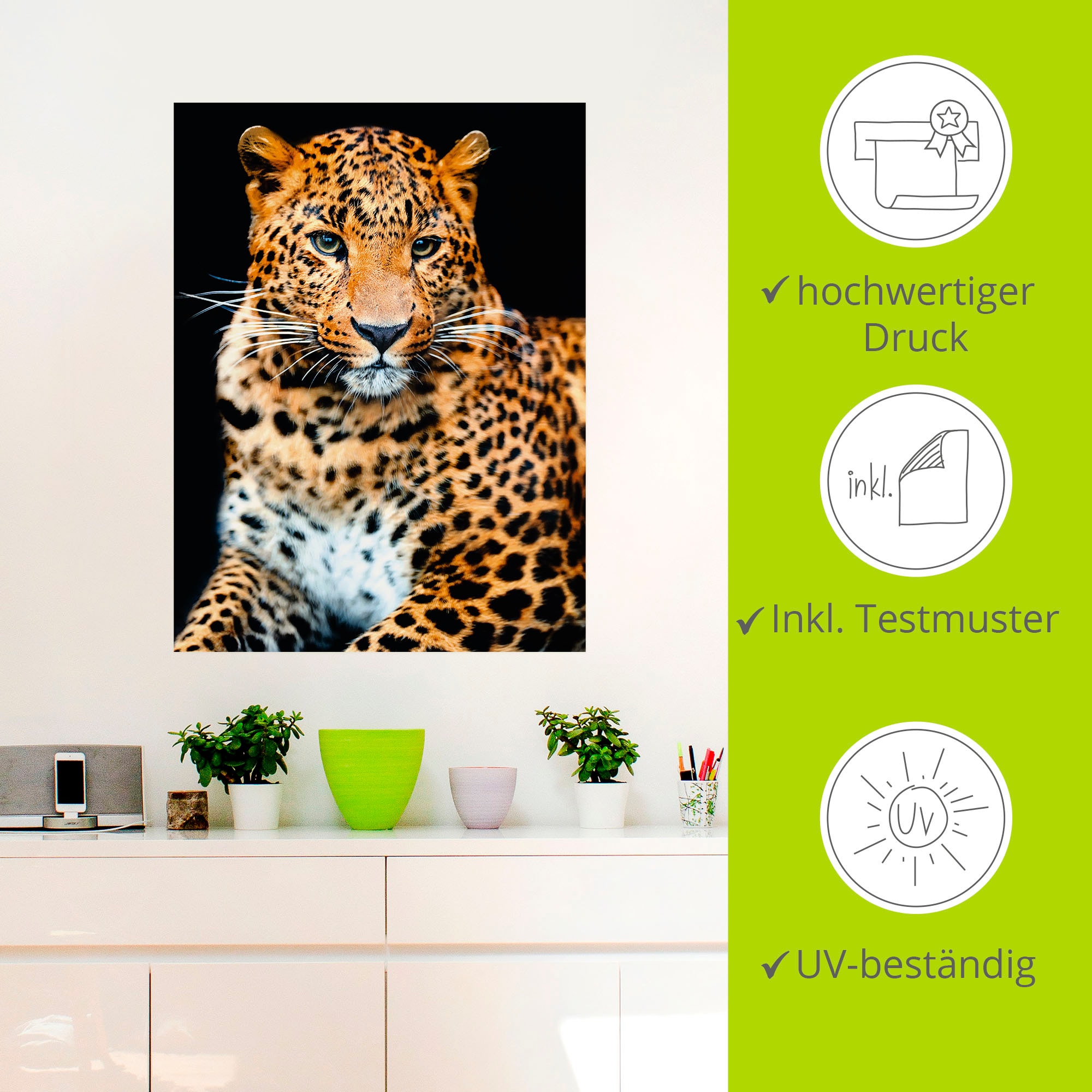 Artland Wandbild »Wütender wilder Leopard«, Wildtiere, (1 St.), als Alubild, Outdoorbild, Leinwandbild, Poster, Wandaufkleber