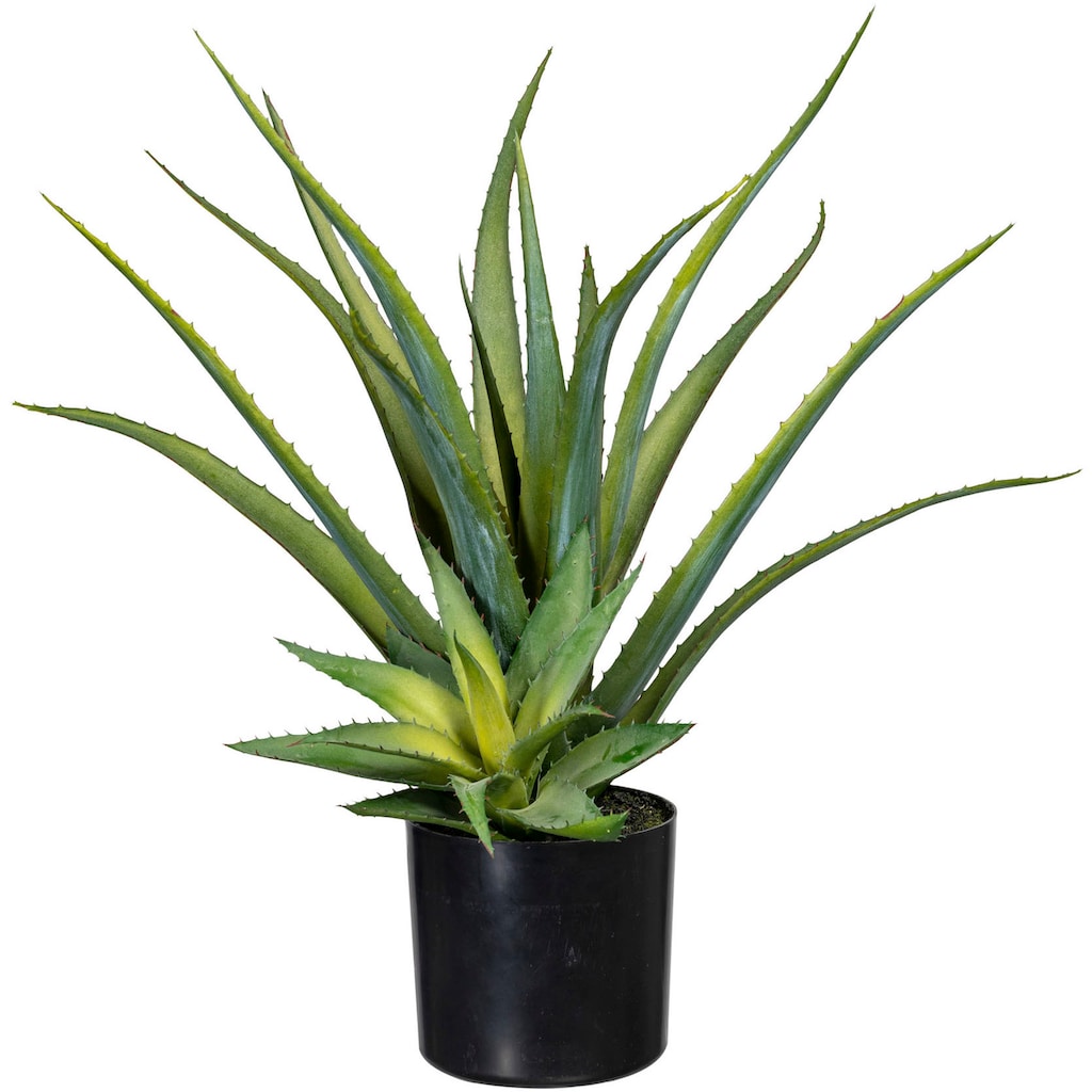 Creativ green Künstliche Zimmerpflanze »Deko-Sukkulente Aloe«