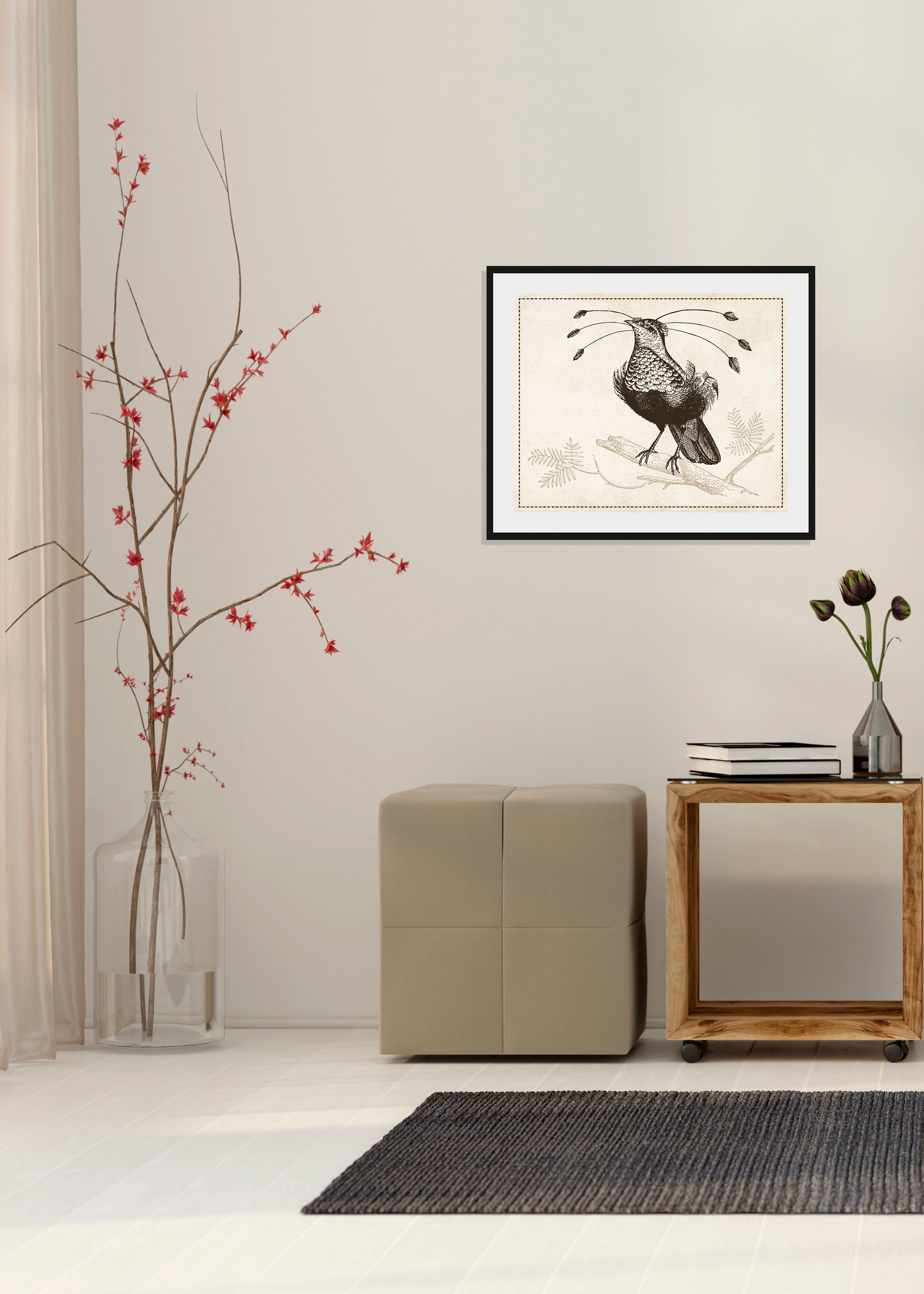 queence Bild »Ann-Sophie«, Vögel-Vogelbilder-historische Ereignisse-Kunst, günstig online kaufen