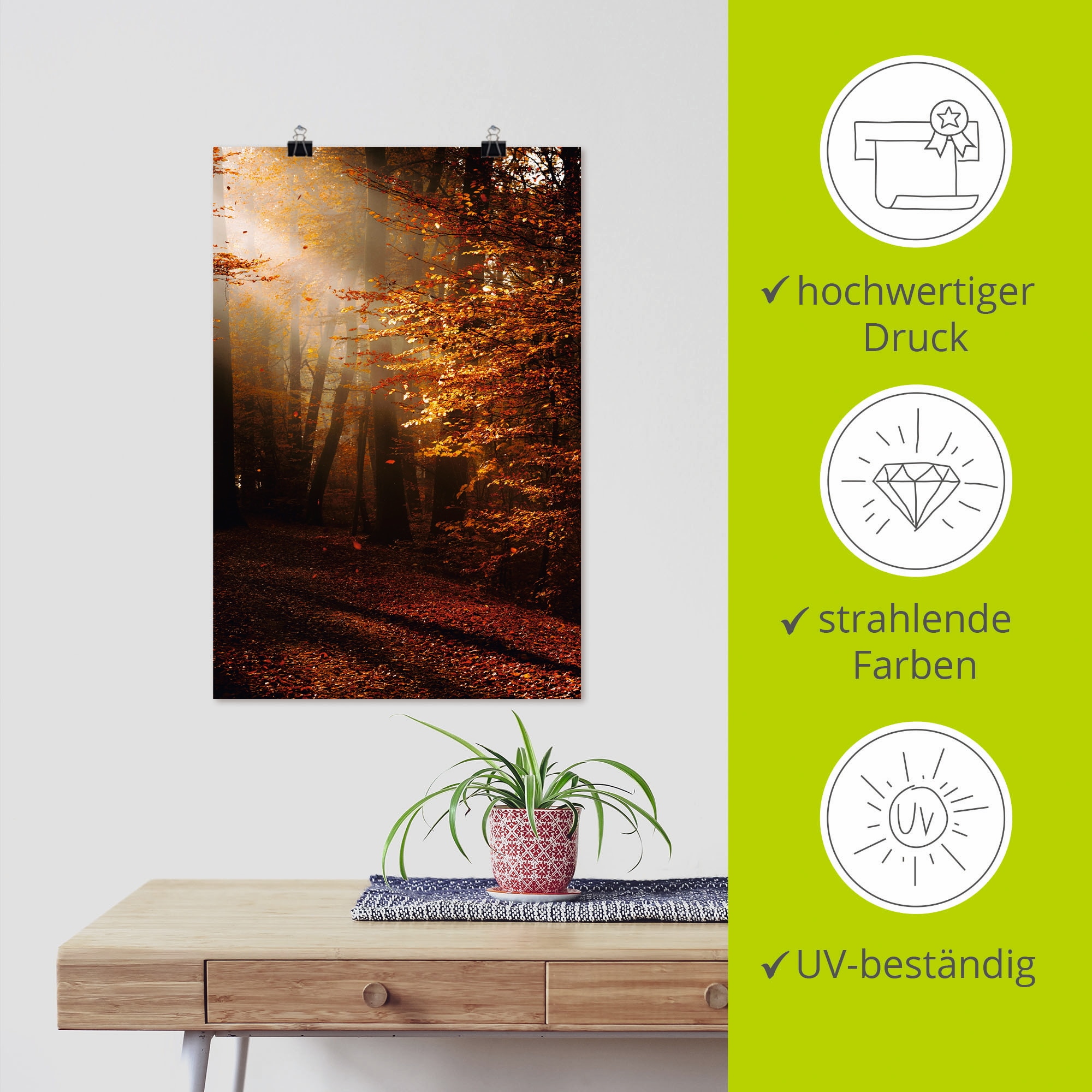 Artland Wandbild »Sonnenaufgang im Herbst« Wald 1 Stk. tlg. als Leinwandbild, Poster in verschied. Größen