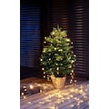 Weihnachtsbaumland Echter Weihnachtsbaum »Echte Nordmanntanne zum Einpflanzen, Weihnachtsdeko aussen«, im Topf gewachsen
