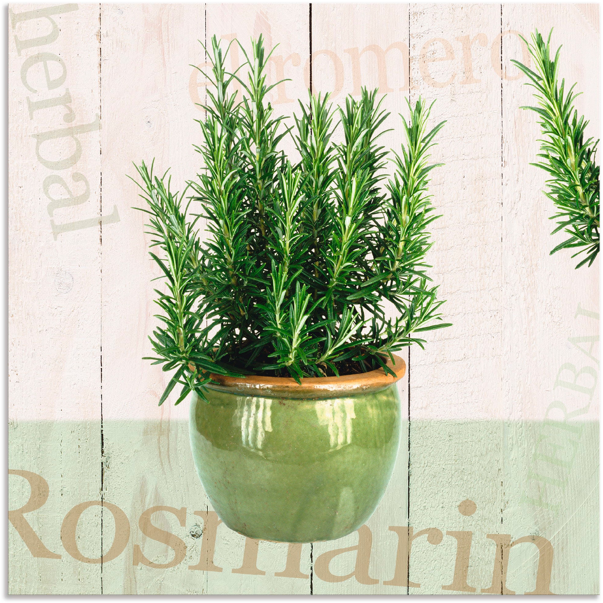 Artland Wandbild »Rosmarin«, Pflanzen, (1 St.), als Alubild, Outdoorbild, Leinwandbild, Poster in verschied. Größen