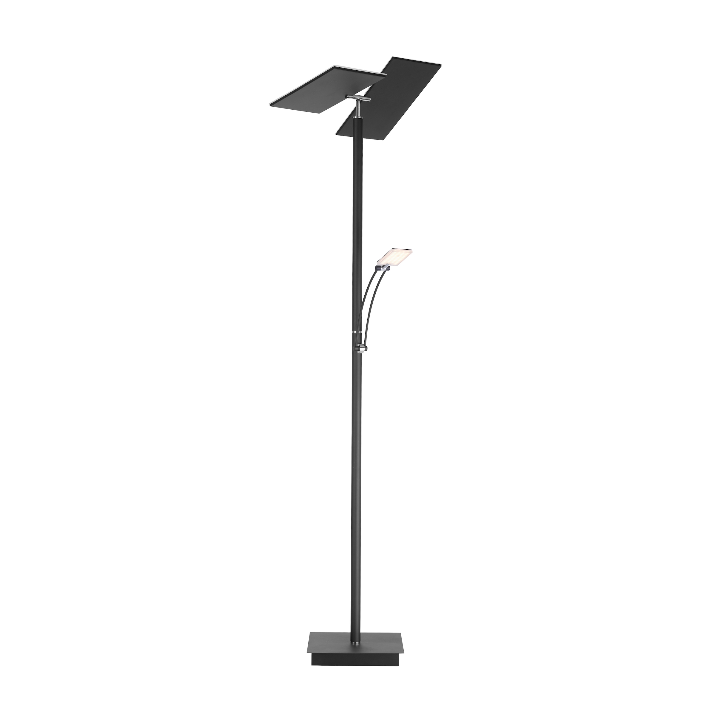 Paul Neuhaus Stehlampe »ARTUR«, getrennt dimmbar - tunable CCT LED, 2 online über schaltbar flammig-flammig, white, Tastdimmer, kaufen