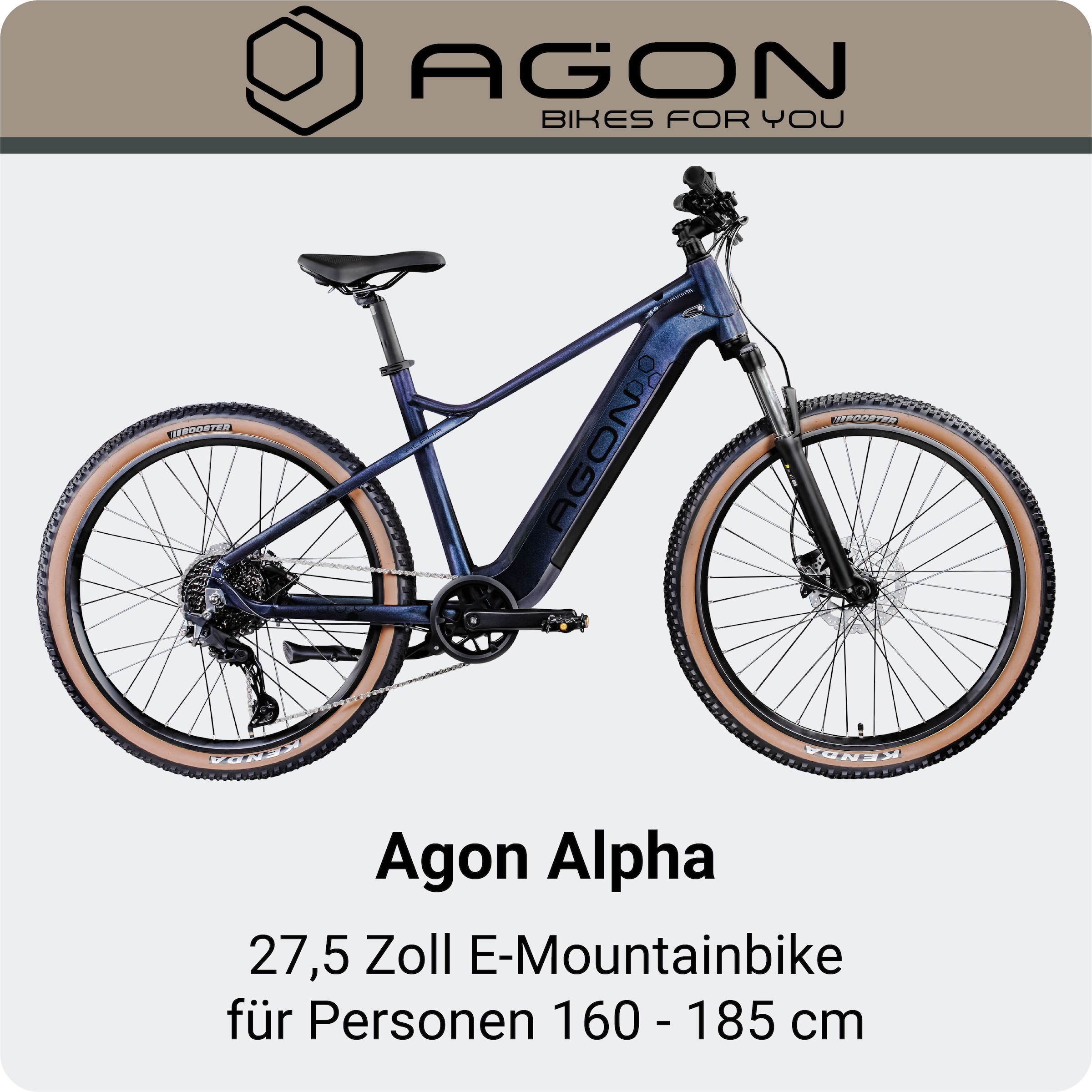AGON »Alpha« 10 Gang Deore SGS T6000 Schaltwerk Kettenschaltung Heckmotor 250 W Pedelec, Elektrofahrrad für Damen u. Herren, MTB