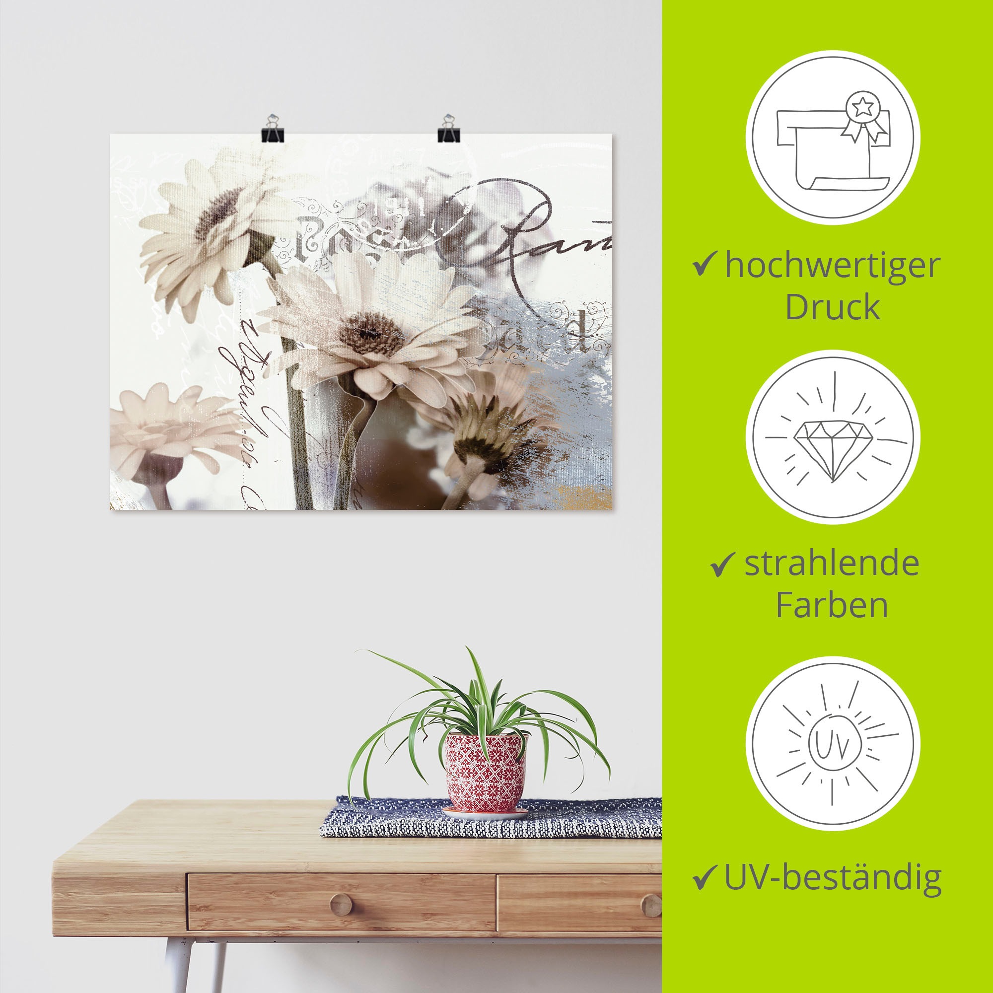 Artland Wandbild »Gerberas_Detail«, Blumenbilder, (1 St.), als Leinwandbild, Poster, Wandaufkleber in verschied. Größen