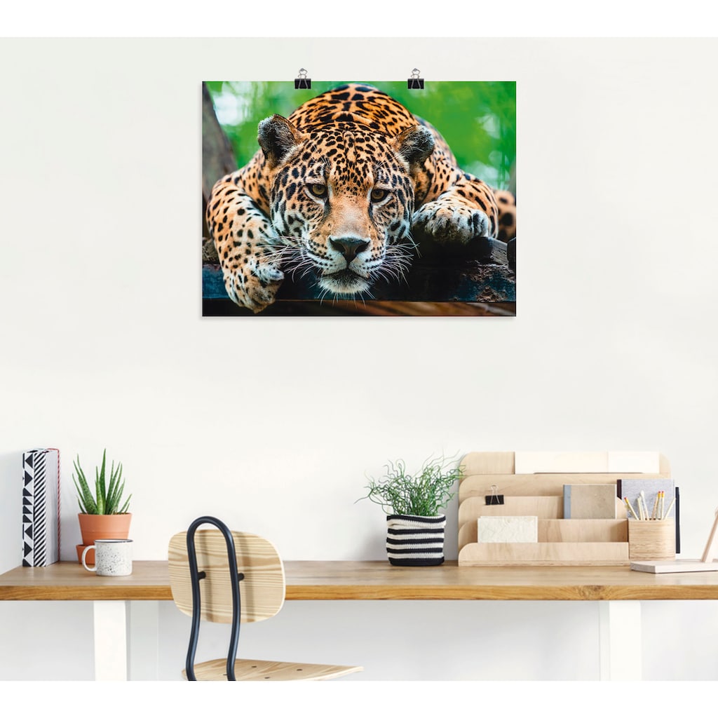 Artland Wandbild »Südamerikanischer Jaguar«, Wildtiere, (1 St.)