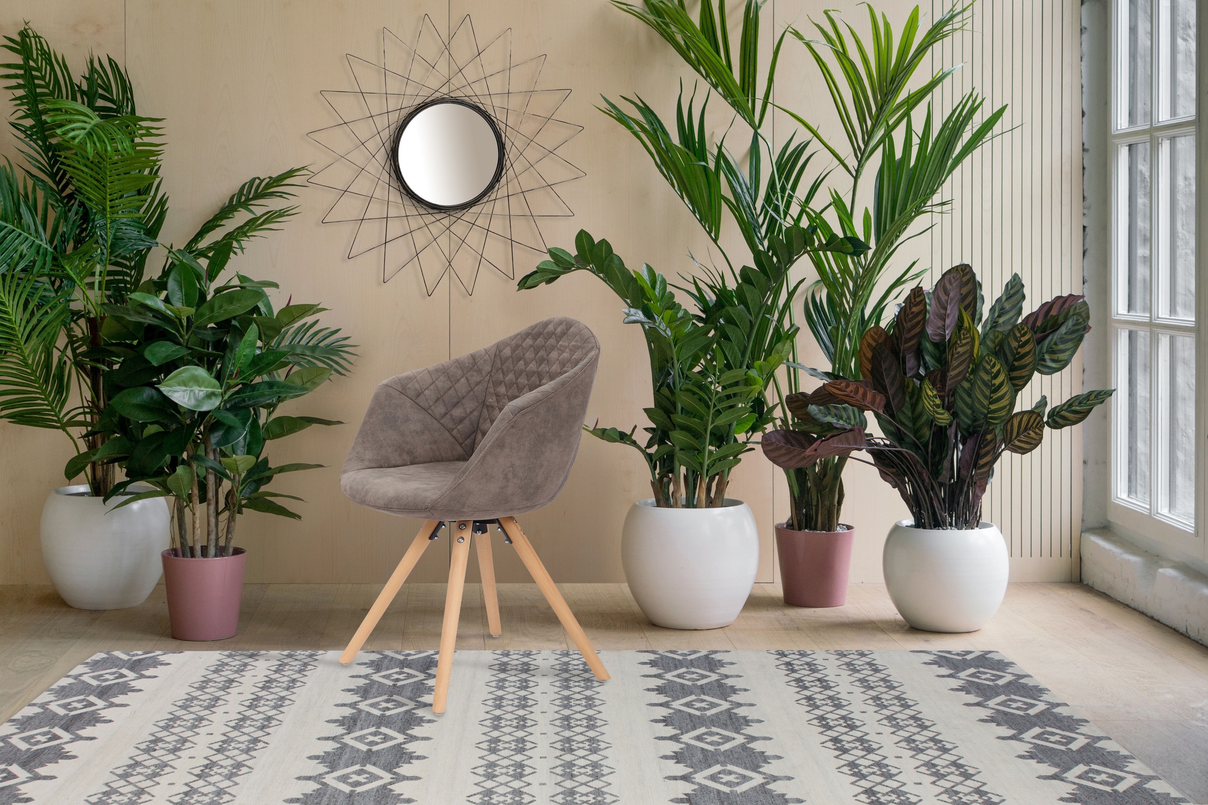 Kayoom Polsterstuhl »Stuhl Chadwick 110 2er-Set, stilvolles Design, in Natu günstig online kaufen