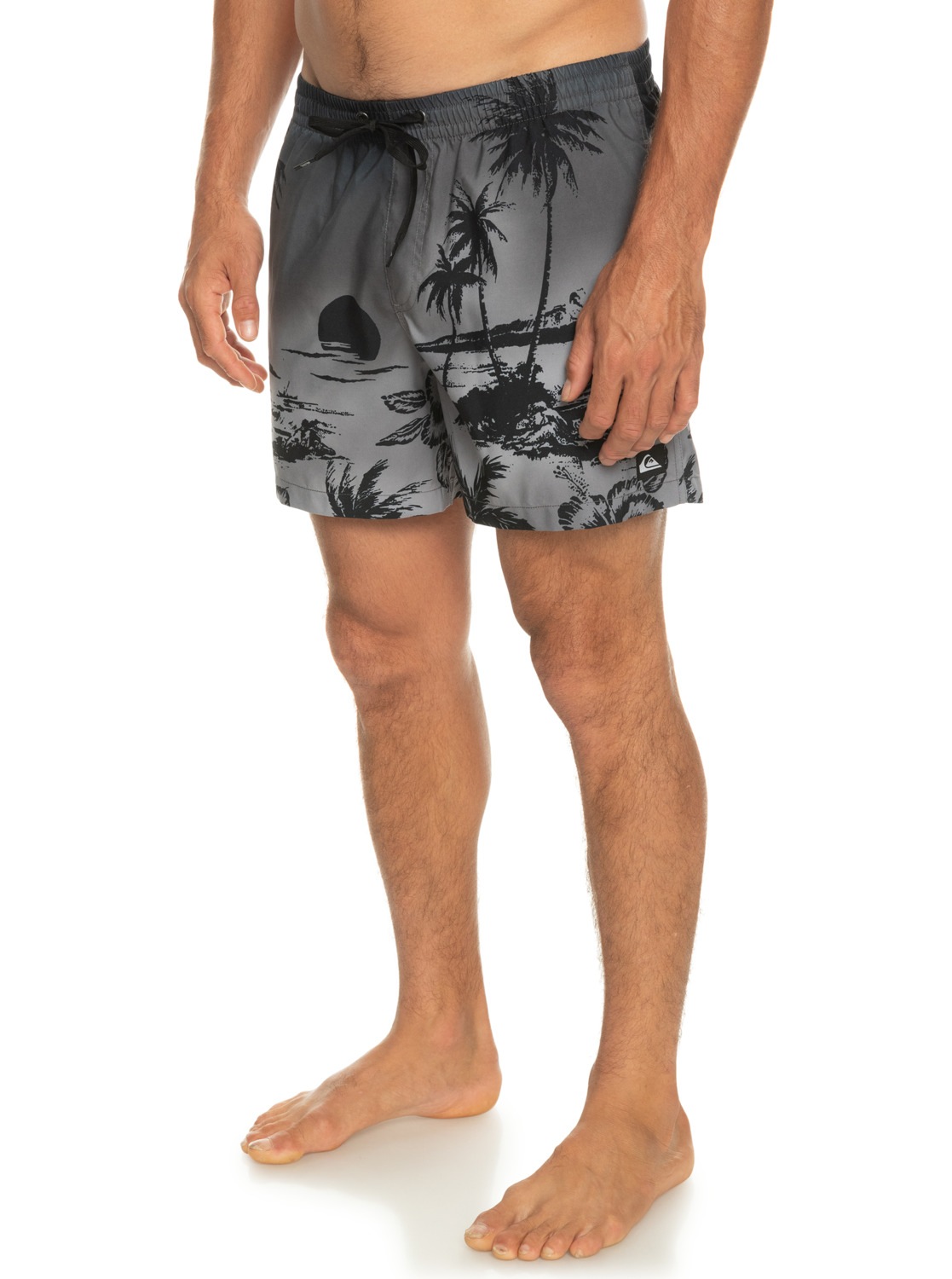 Quiksilver Boardshorts »Everyday Paradise 15"«