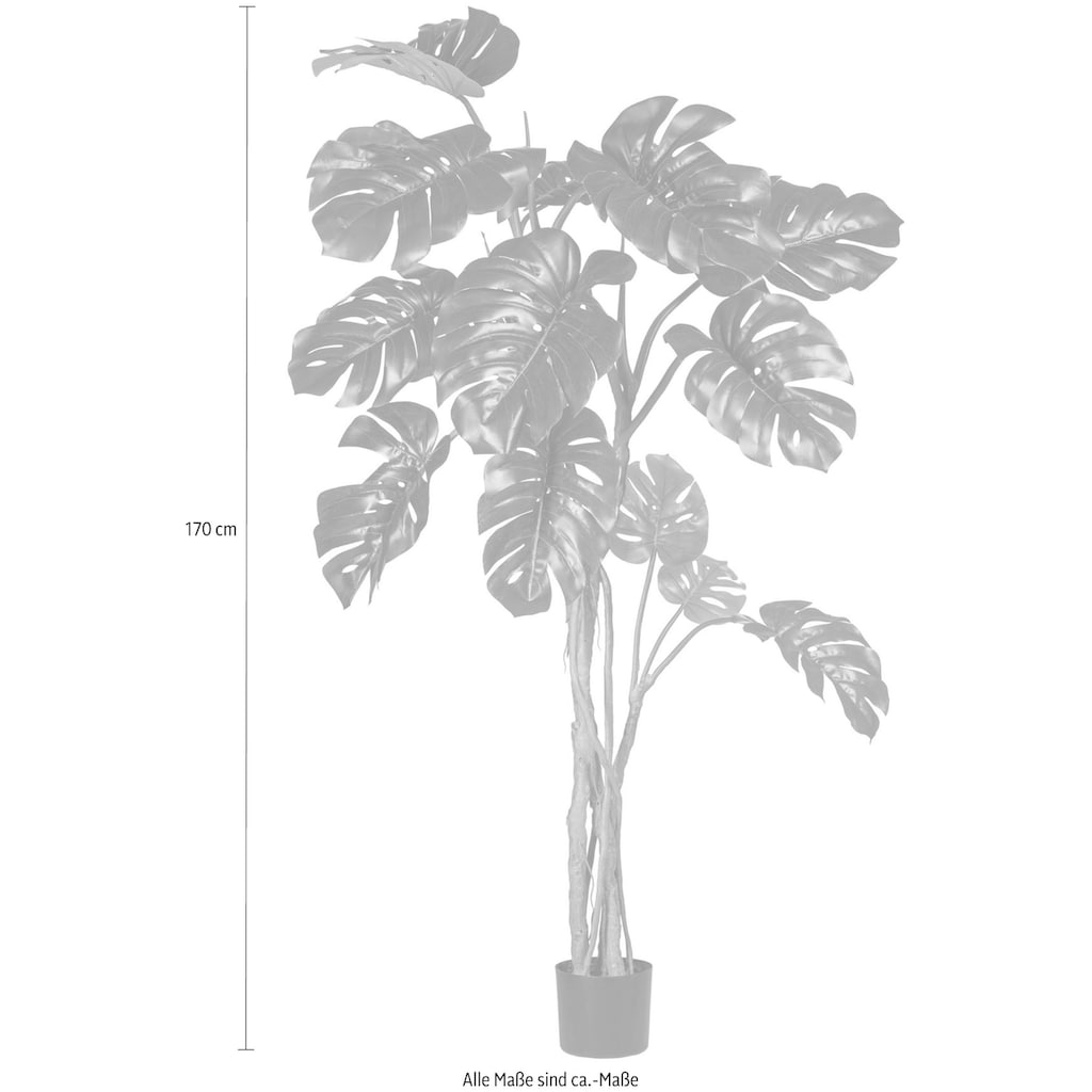 Creativ green Kunstpflanze »Splitphilodendron«, (1 St.)