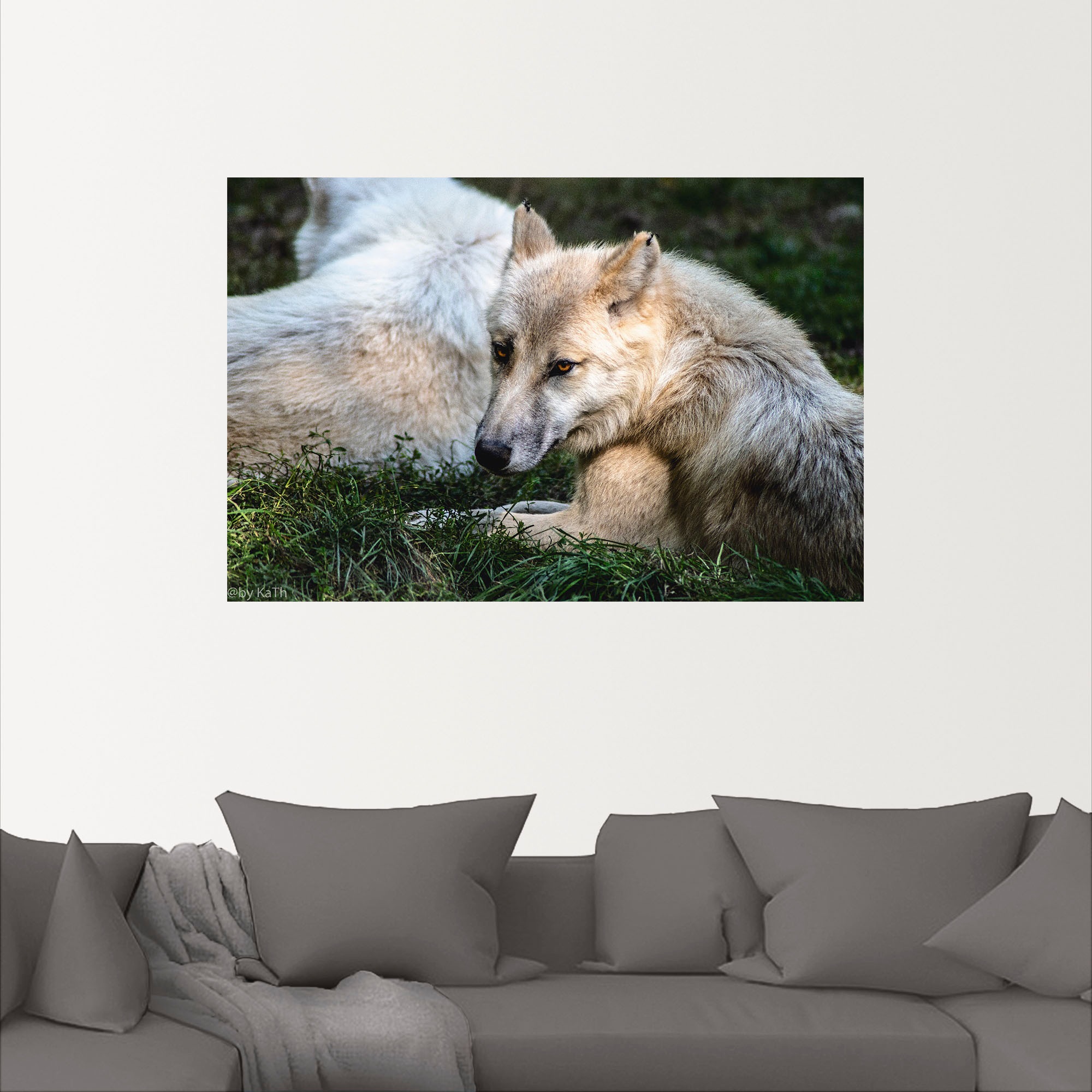 Artland Wandbild »Wolf II«, Wolfbilder, (1 St.), als Alubild, Leinwandbild, Wandaufkleber oder Poster in versch. Größen