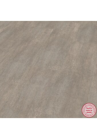 EGGER Laminat »EHL004 Cefalu Beton hell«, 8mm, 2,535m² - Fußboden mit Klicksystem - grau kaufen