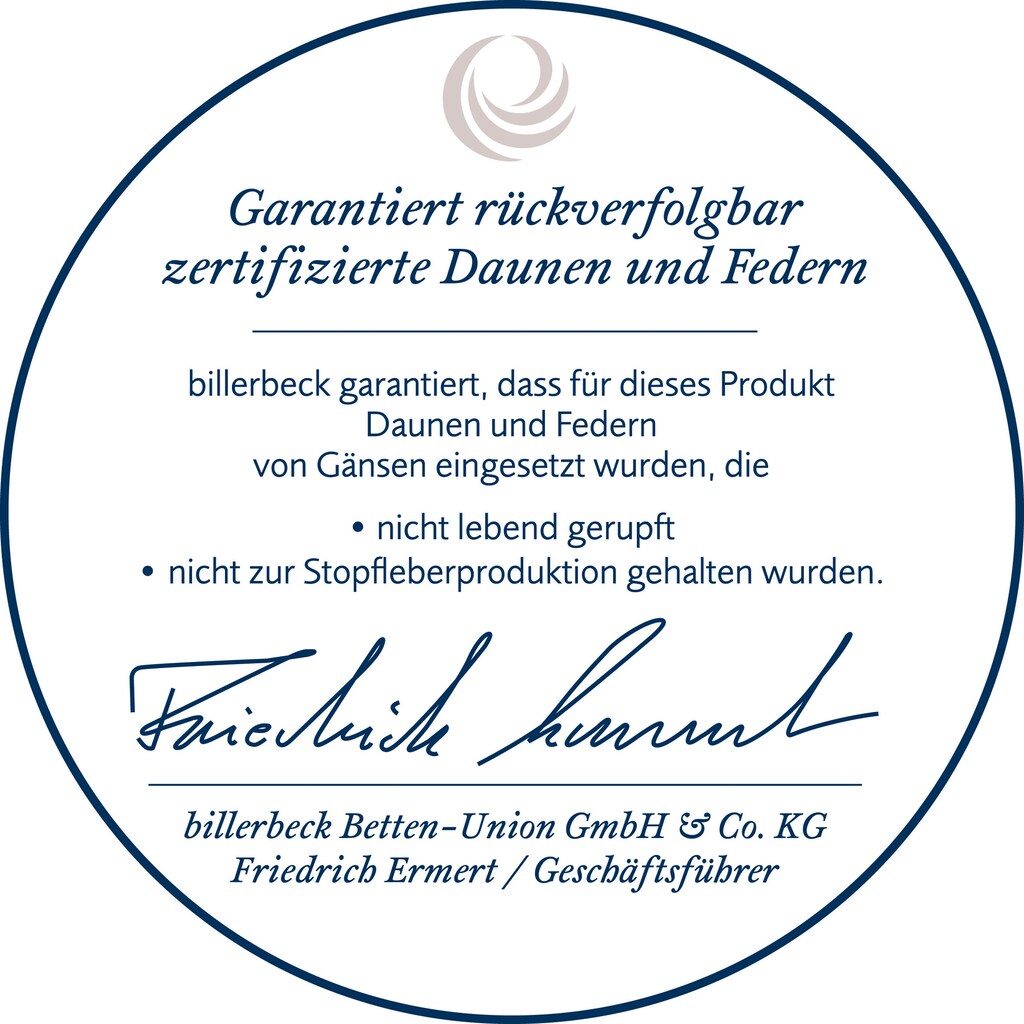 billerbeck Gänsefederkopfkissen »Ginnie 30, Kissen ist Allergiker freundlich (Hausstauballergiker)«, Füllung: 70% Gänsefeder, 30% Gänsedaunen, Bezug: 100% Baumwolle, (1 St.)