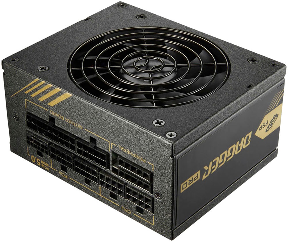 Fortron Netzteil »DAGGER PRO 850W«