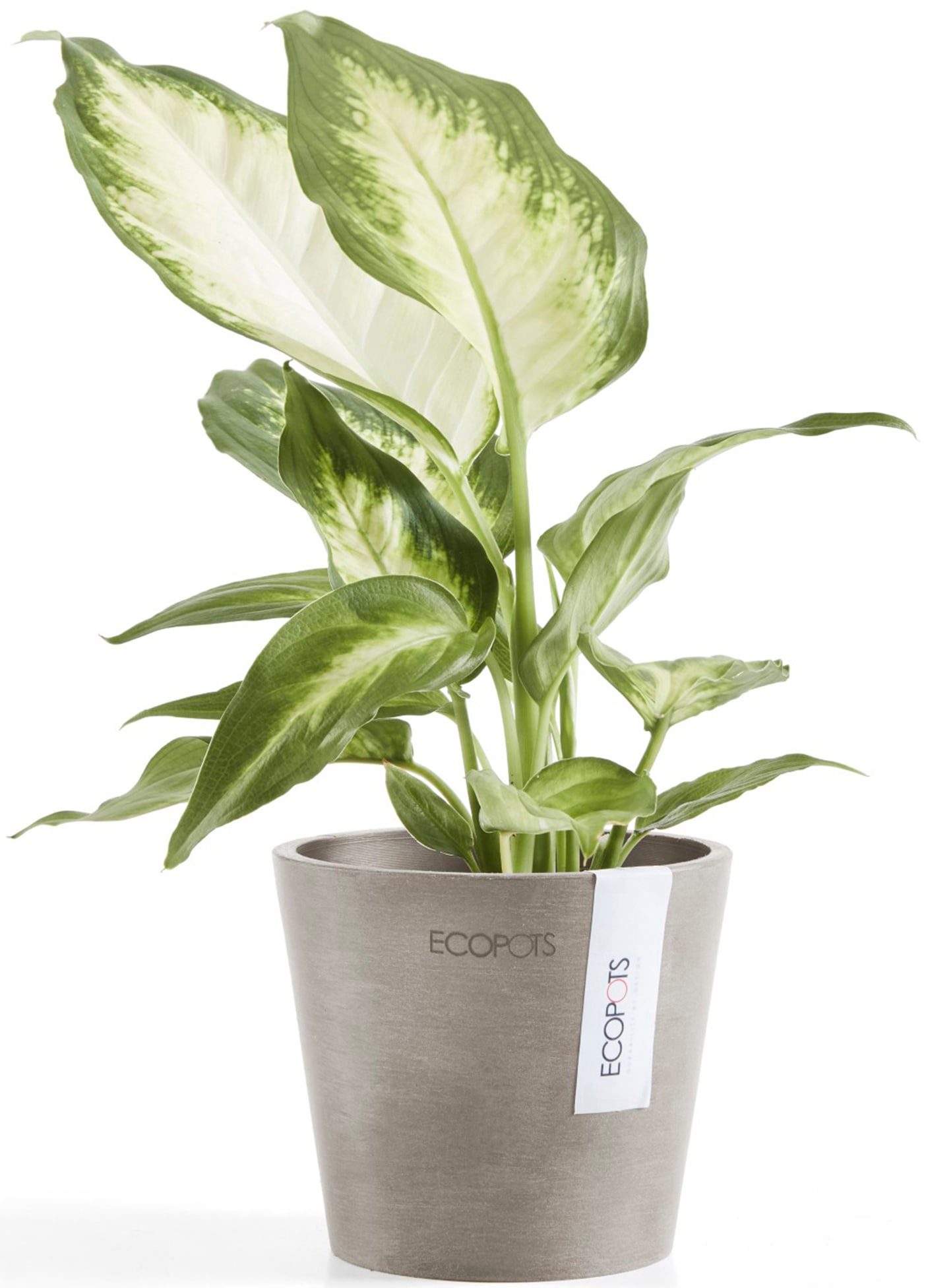 ECOPOTS Blumentopf »Amsterdam Mini 10,5 Taupe«, für den Innenbereich